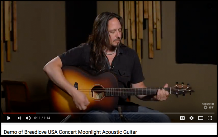 breedlove-usa-concert-moonlight-usa-youtube.png