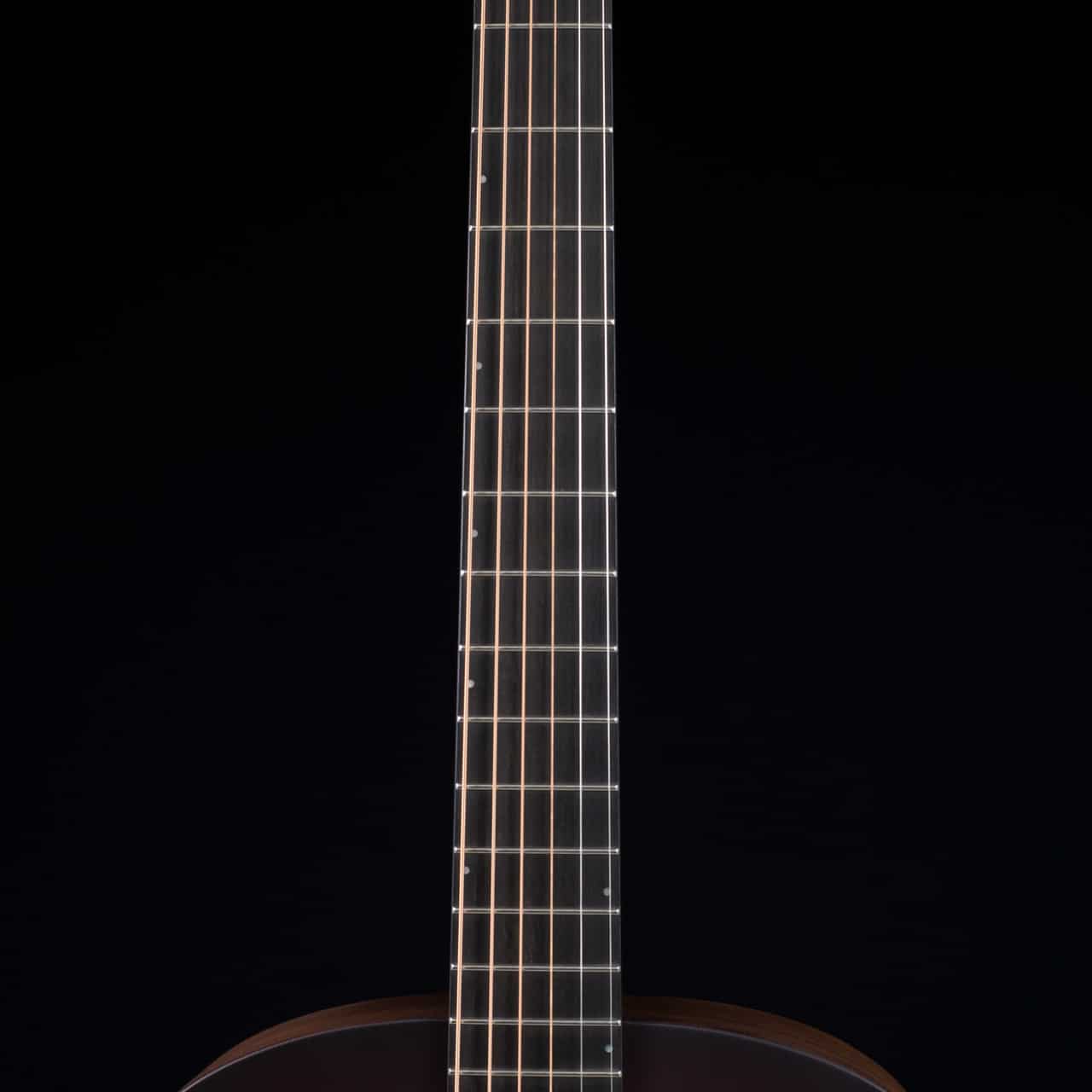 Breedlove-USA-Concert-Moonlight-E_21893_Neck__58946