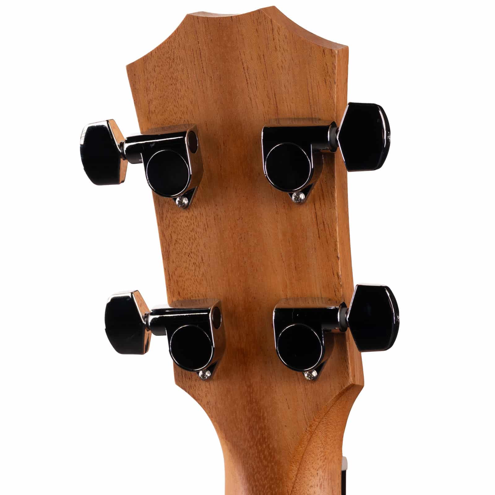 GS-Mini-e-KOA-BASS-2201135367-bac-ead__32956