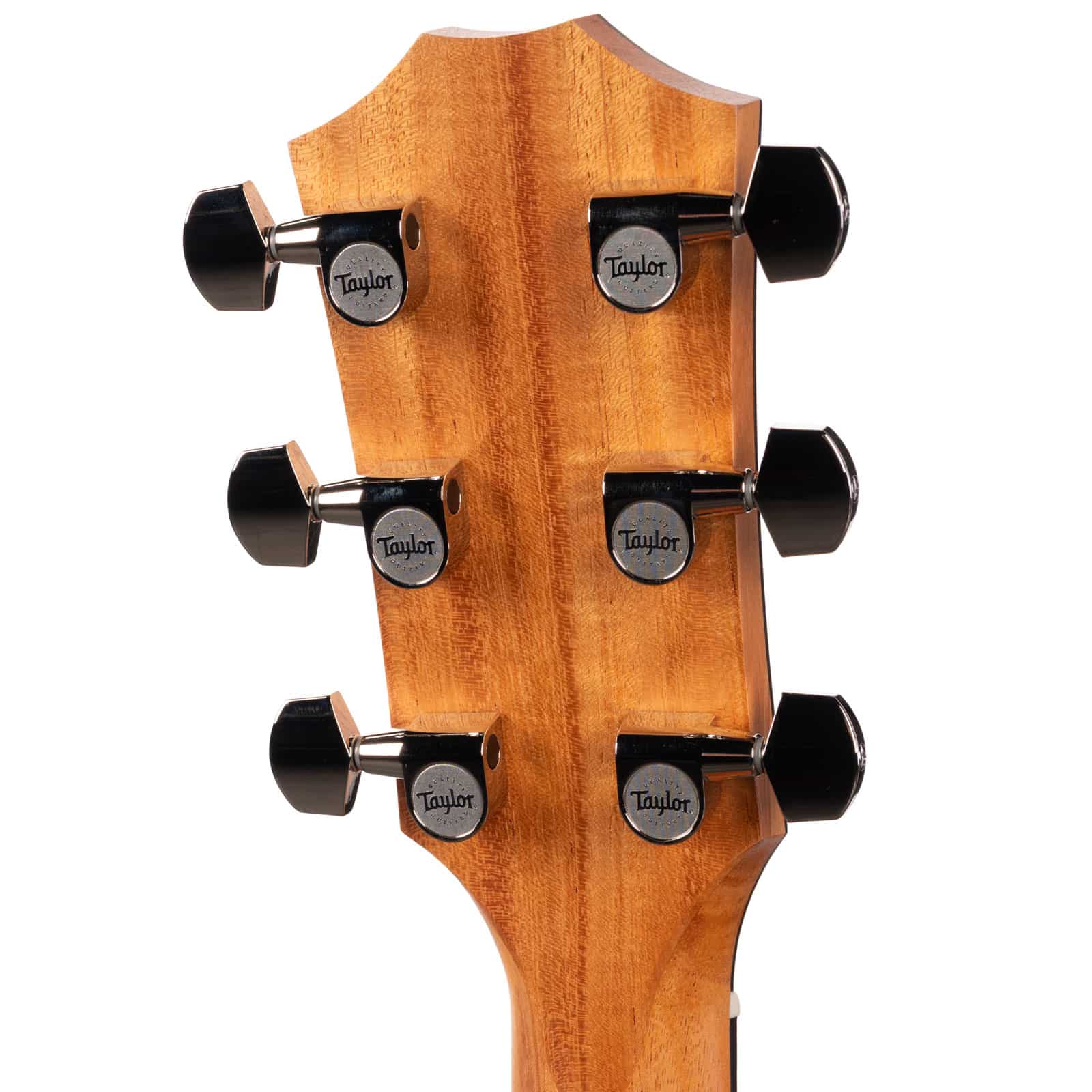TAYLOR-214CE-PLUS-ROSEWOODTORR-SPRUCE-2025-2206185367-back-head__13866