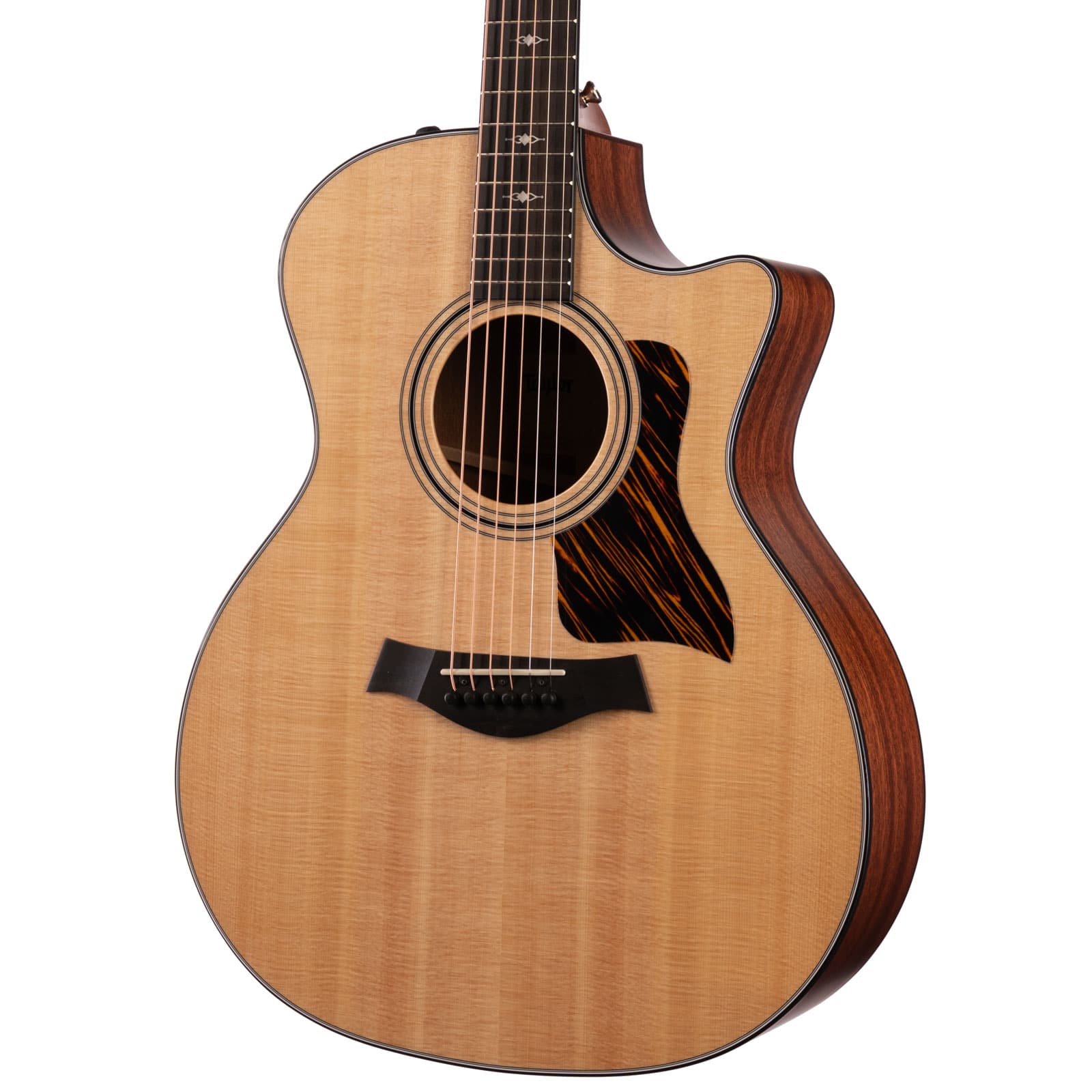 TAYLOR-314CE-1208064016-abgle-rihgt__40616