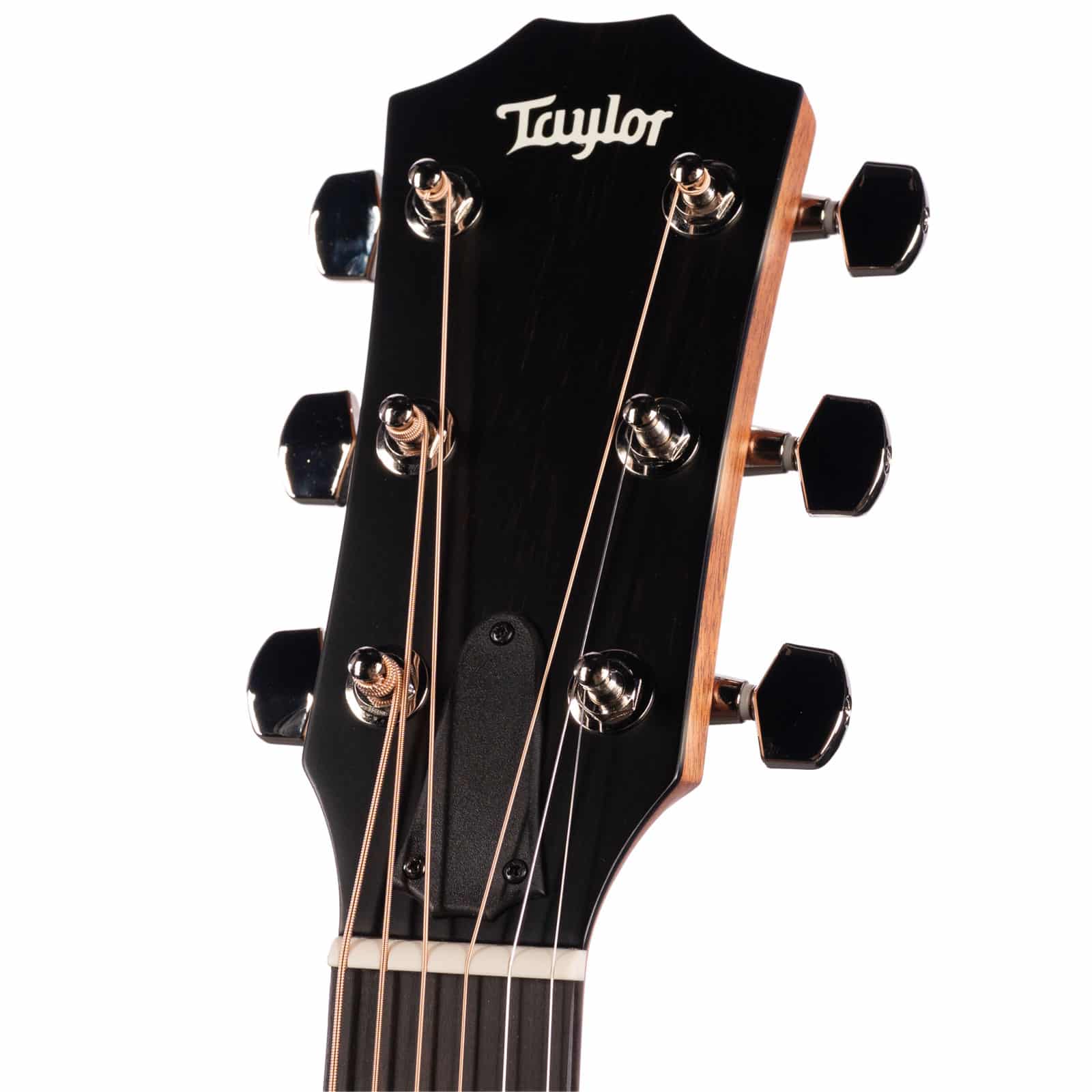 TAYLOR-314CE-STUDIO-SAPELESITKA-SEB-1204045088-front-head__41585