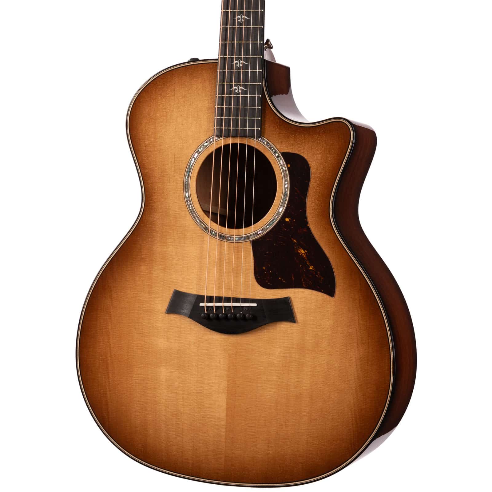 TAYLOR-514CE-URBAN-IRONBARKTORREFIED-SITKA-1202144040-re-shoot-angle-rihgt__18286