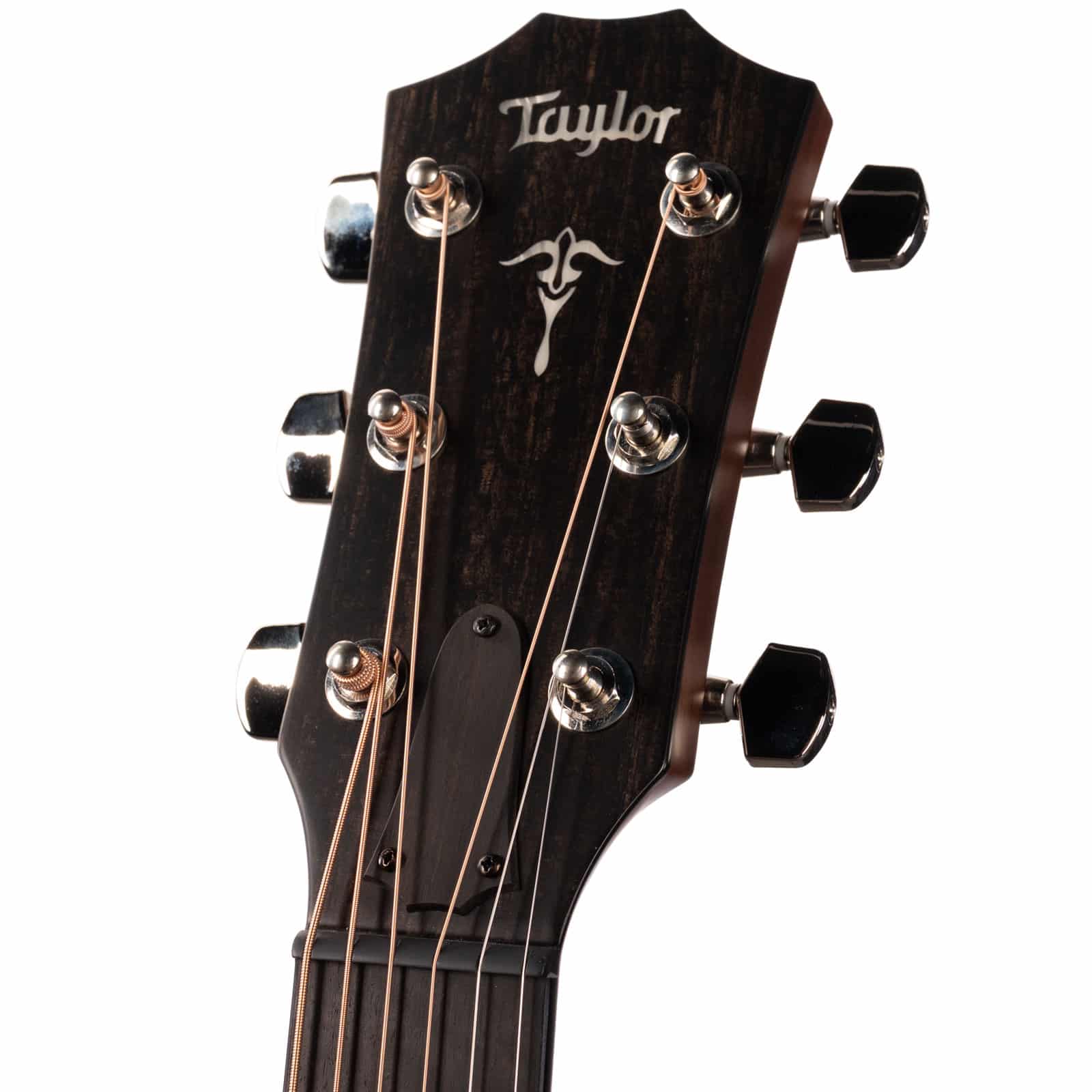 TAYLOR-514CE-URBAN-IRONBARKTORREFIED-SITKA-1202144040-re-shoot-fron-thead__42993