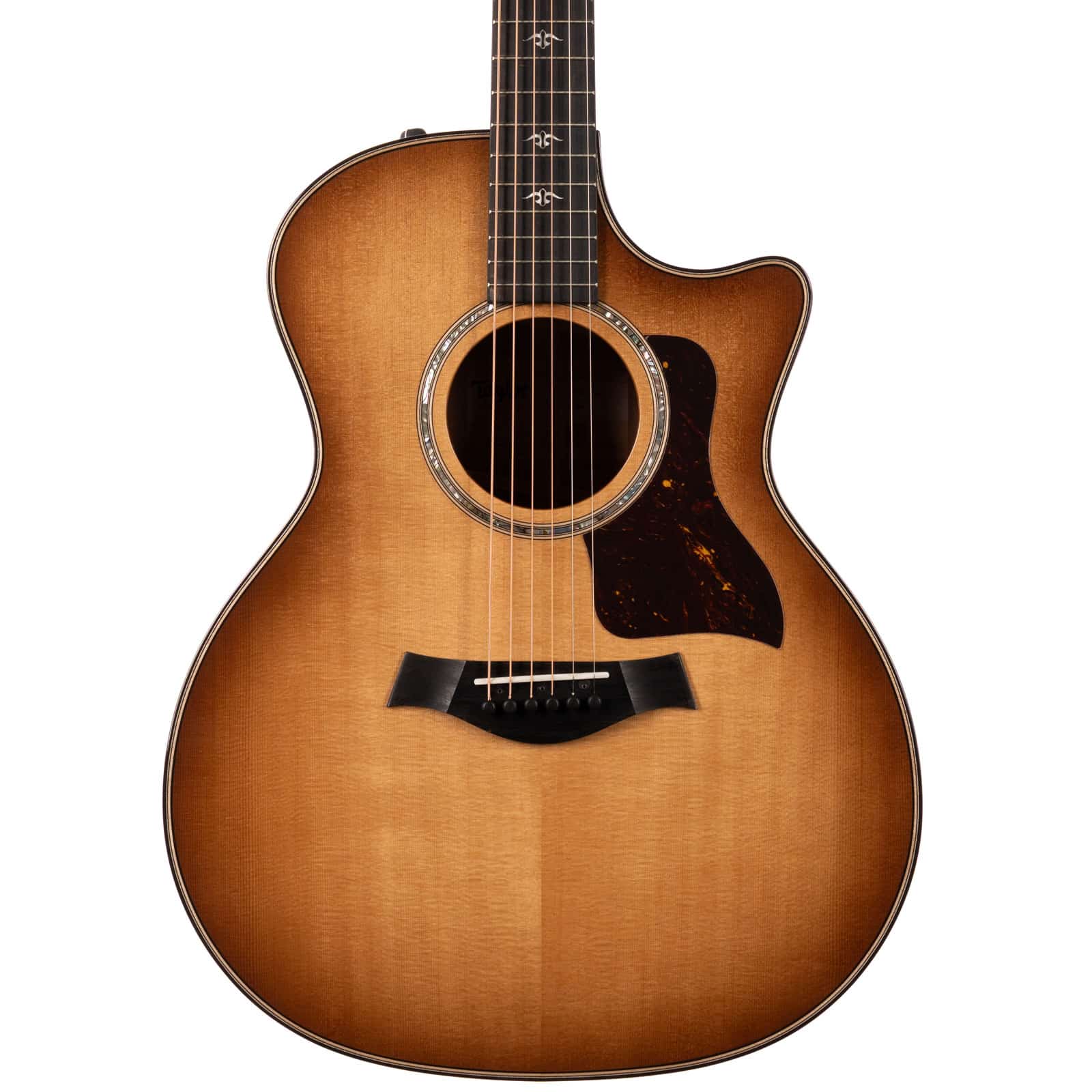 TAYLOR-514CE-URBAN-IRONBARKTORREFIED-SITKA-1202144040-re-shoot-front-body__00855