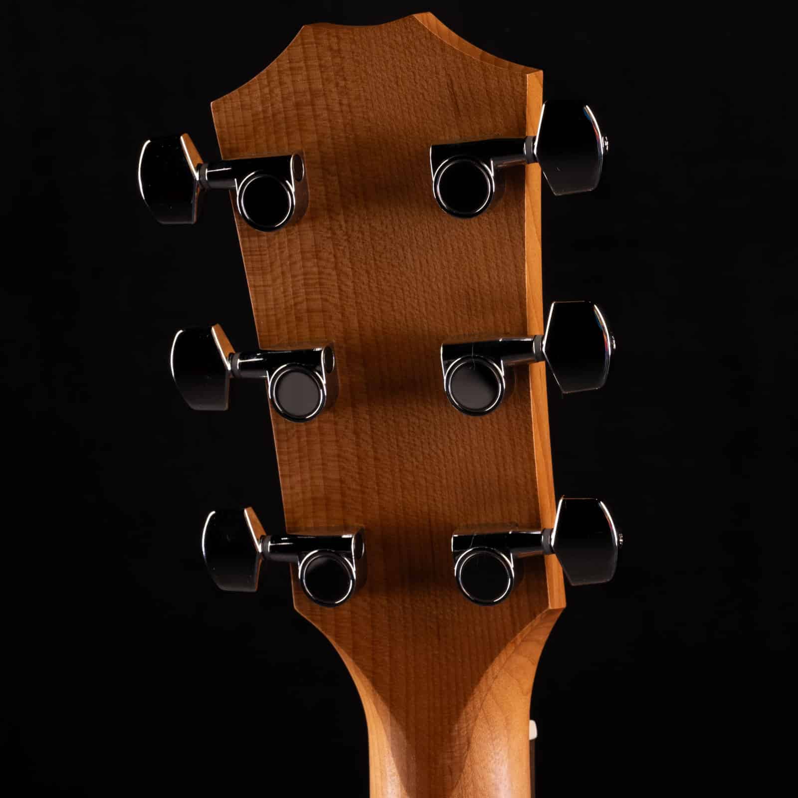 TAYLOR-ACADEMY-10-WALNUTSPRUCE-2208074219-back-head__86173