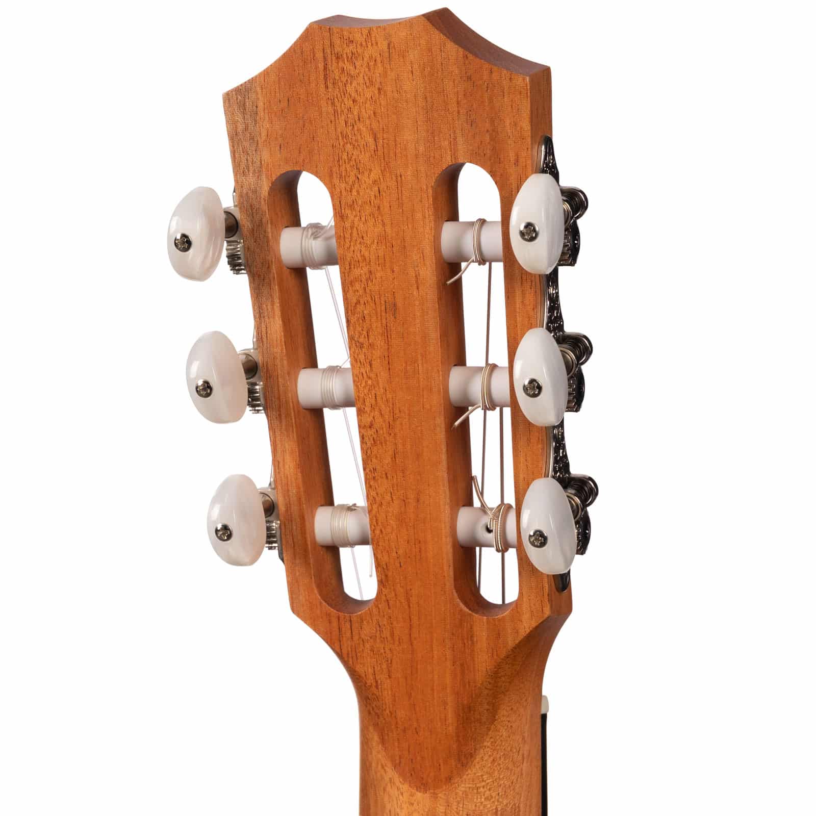 TAYLOR-ACADEMY-12E-NYLON-WALNUTLUTZ-SPRUCE-2025-2204145081-back-head__87510