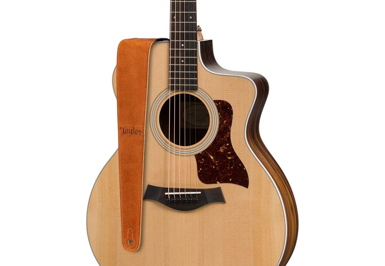 TW_4402-25_OnGuitar-2022__20092