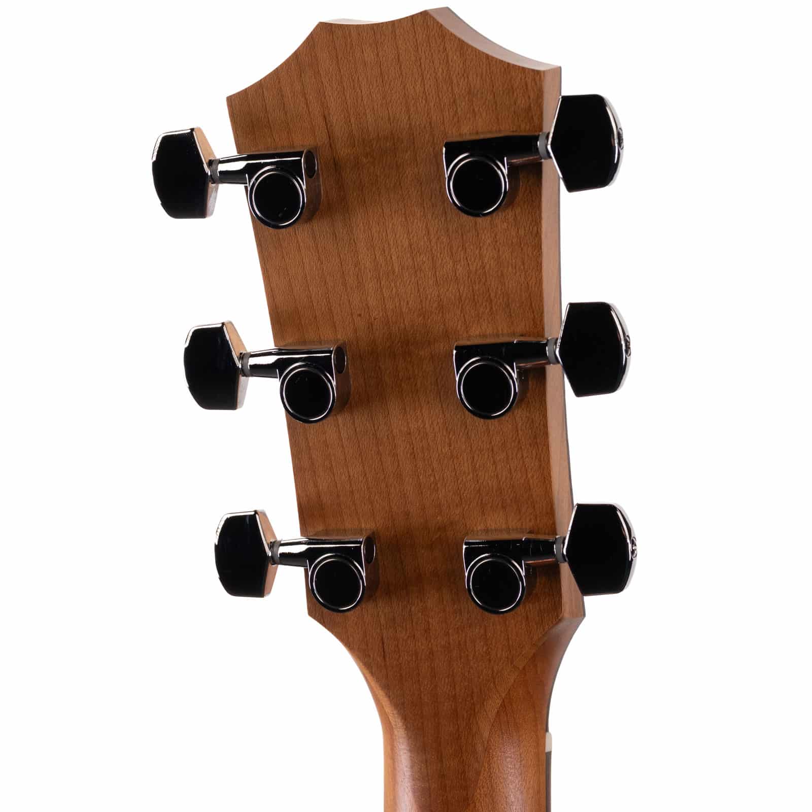 Taylor 110ce-S | Moore Guitars