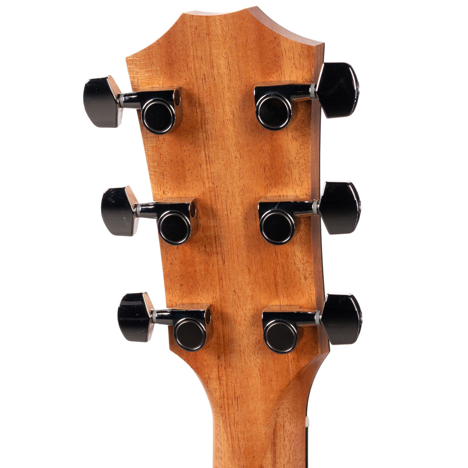 Taylor-214ce-K-KOA-wTORREFIED-SPRUCE-TOP-2025-2208155341-back-head__91681