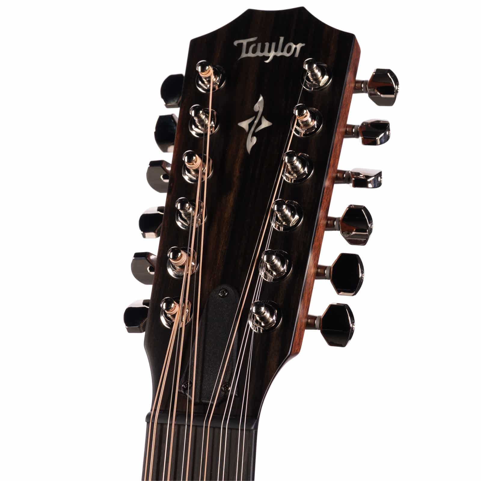 Taylor-454ce-12-String-Natural-Top-1202265029-front-head__49254