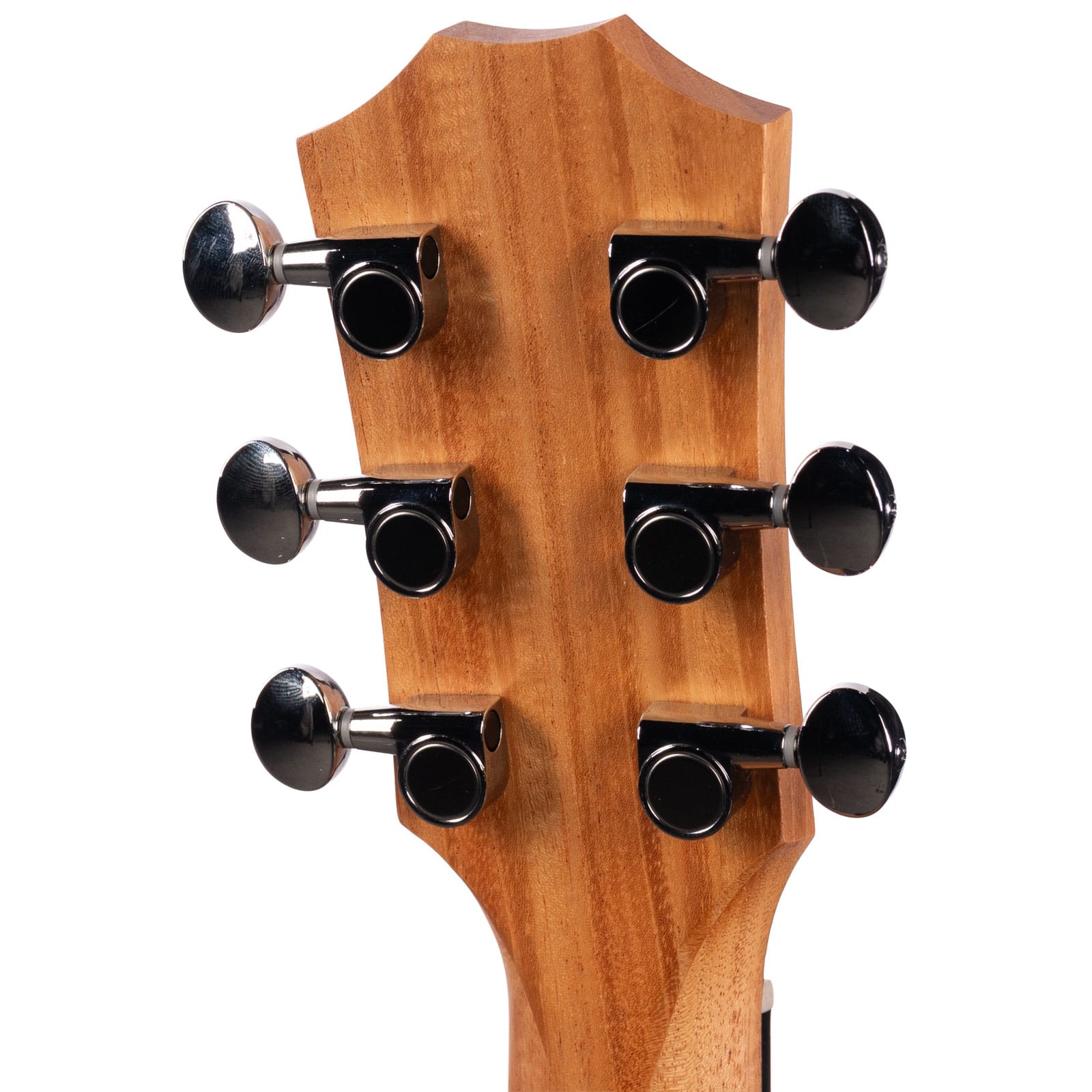 Taylor-GS-MINI-SAPELE-ACOUSTIC-2203135160-back-head__12546
