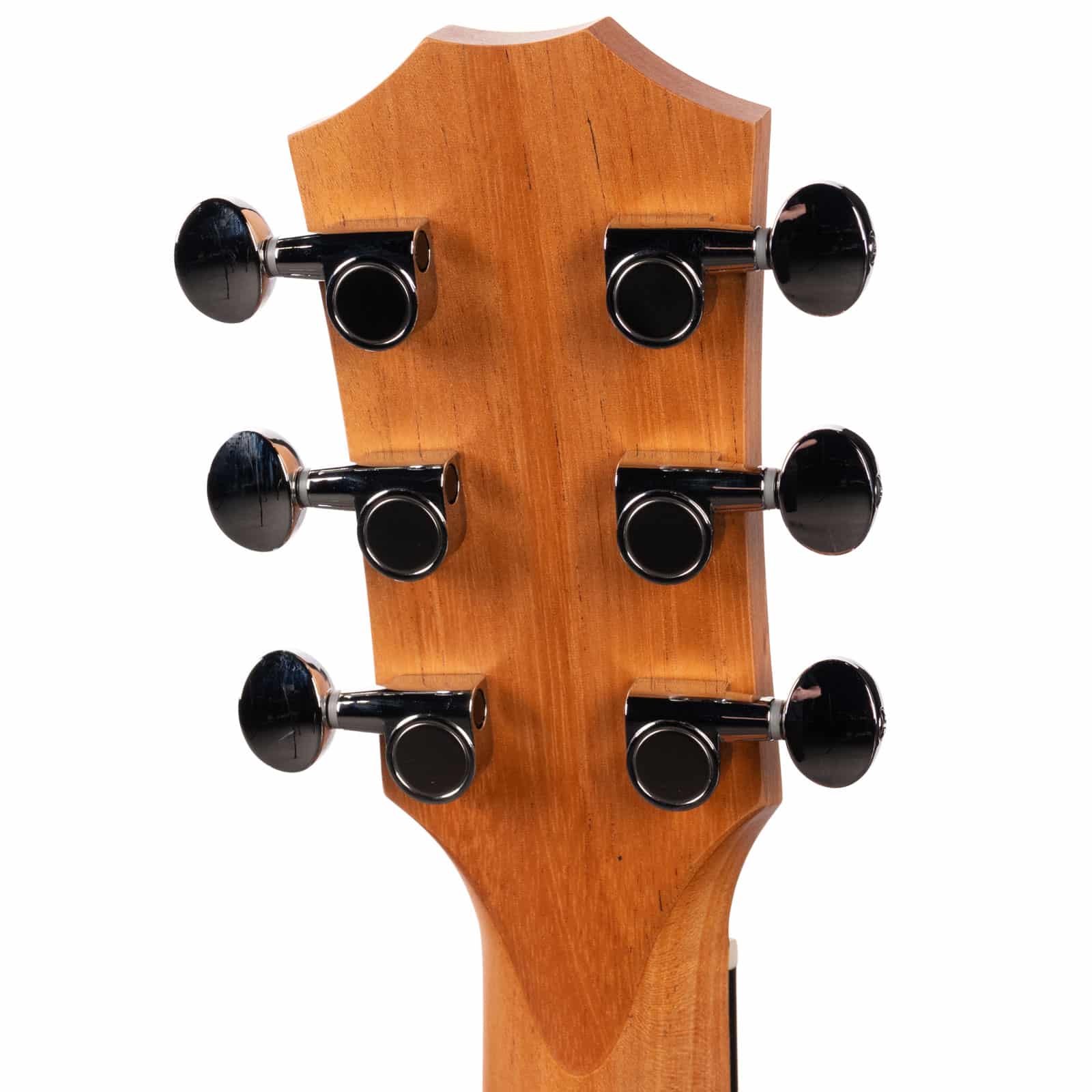 Taylor-GS-Mini-G4V-Guitar-for-Vets-LTD-2209085287-back-head__24137