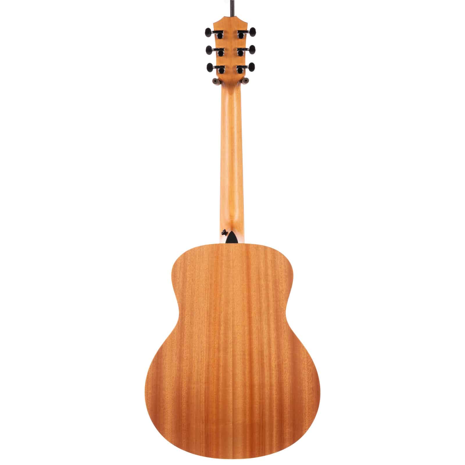 Taylor-GS-Mini-G4V-Guitar-for-Vets-LTD-2209085287-back__05490