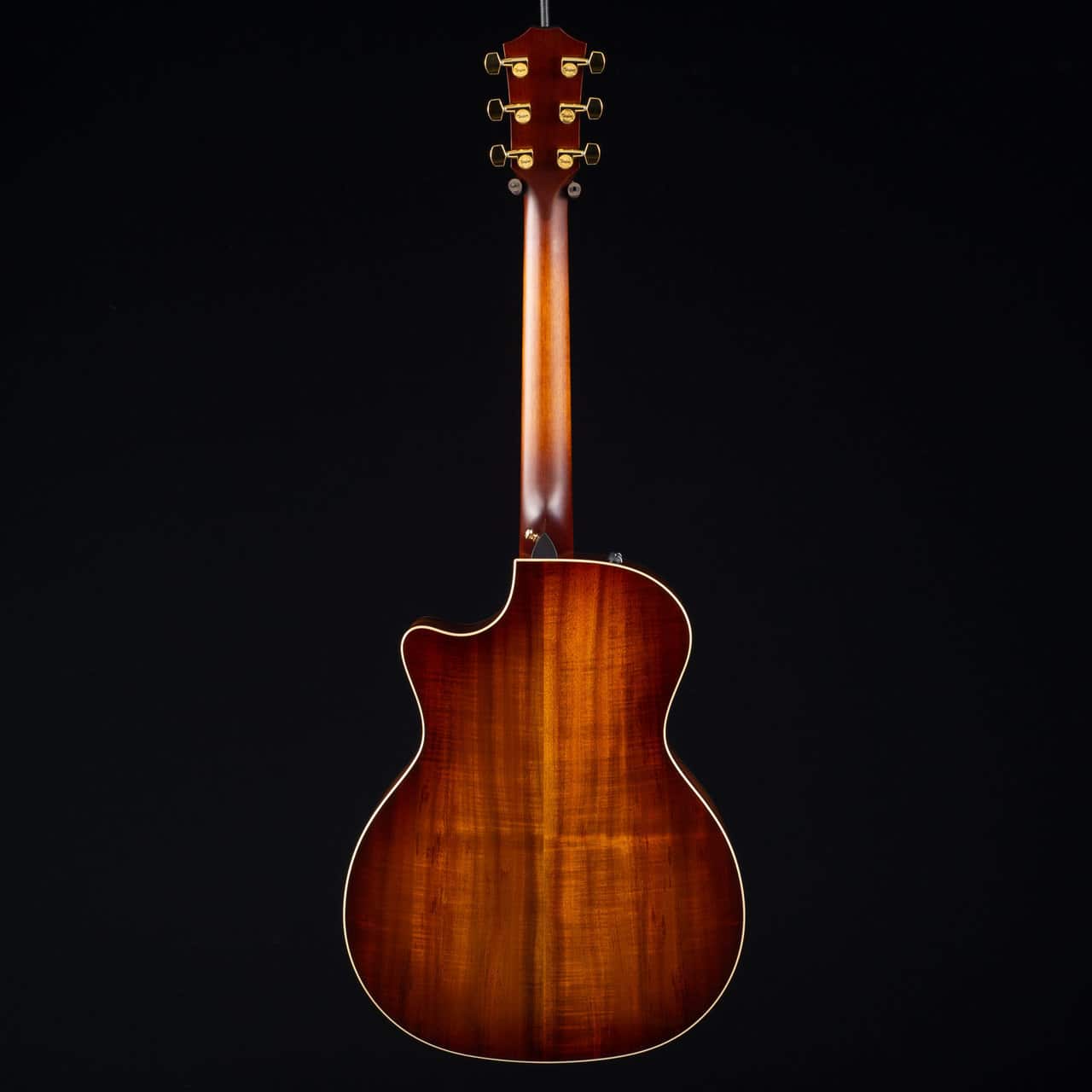 Taylor-K24CE-V-Class_1102168093_Full-Body-Back__28866