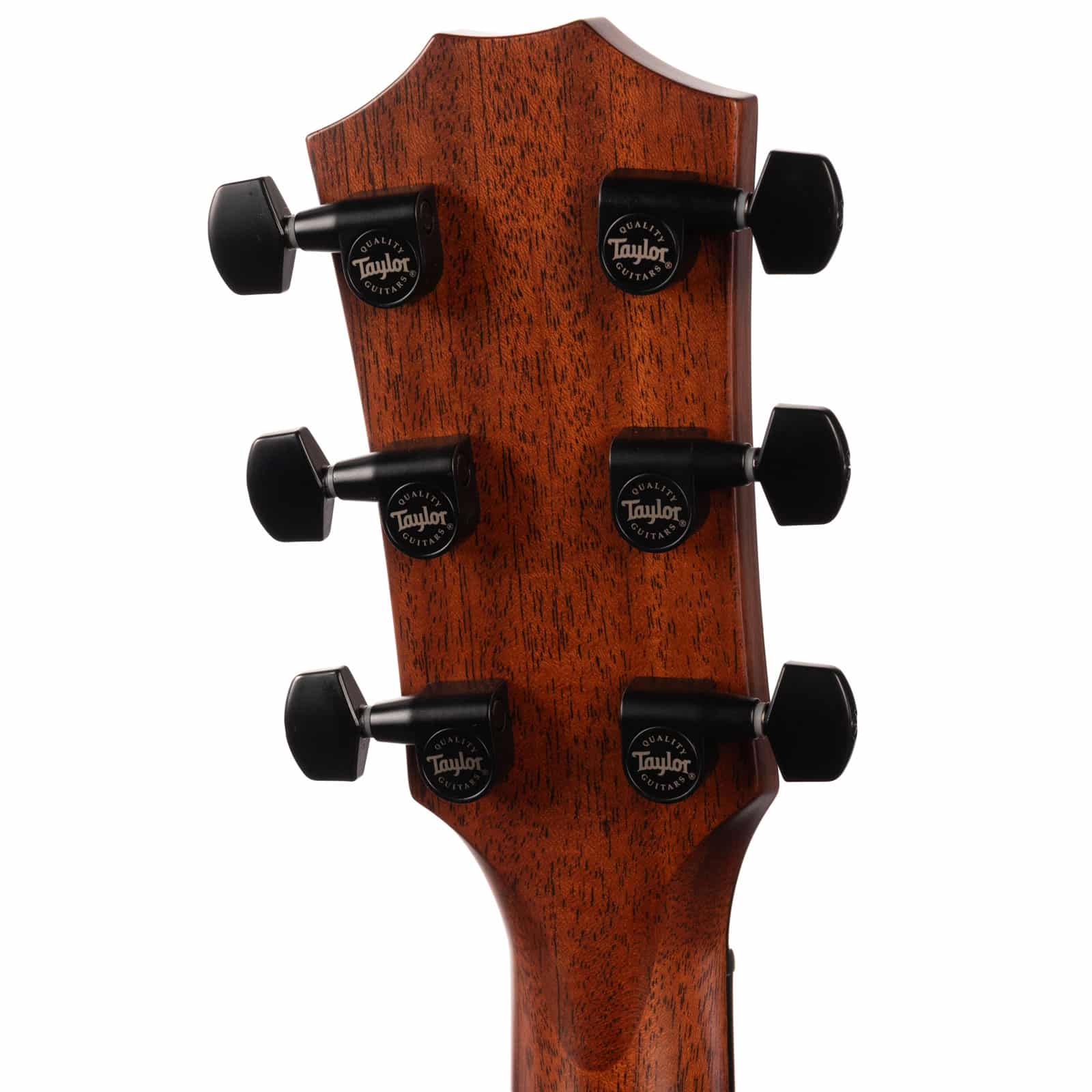 TAYLOR-324CE---1209063067---U--back-head