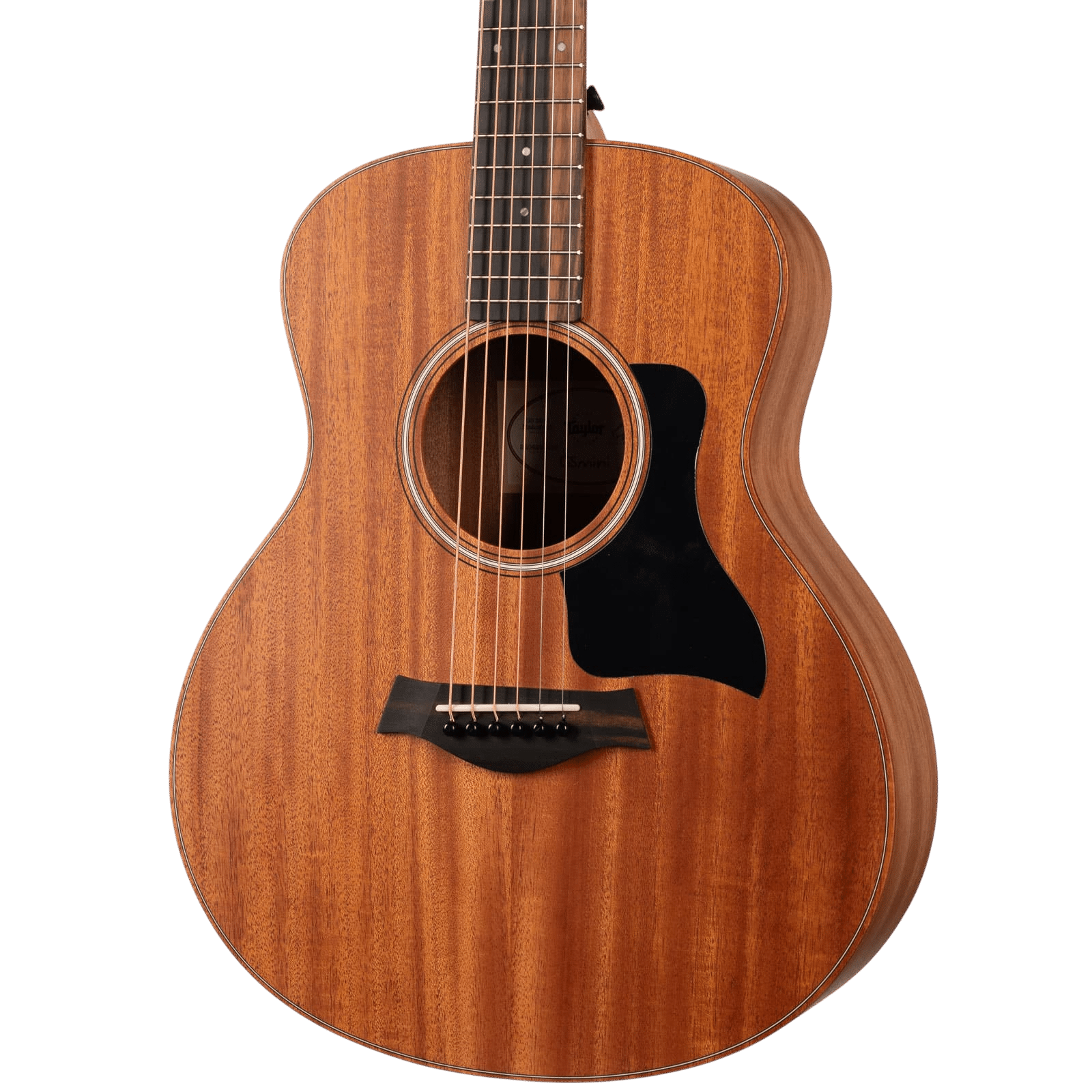 Taylor GS Mini Mahogany