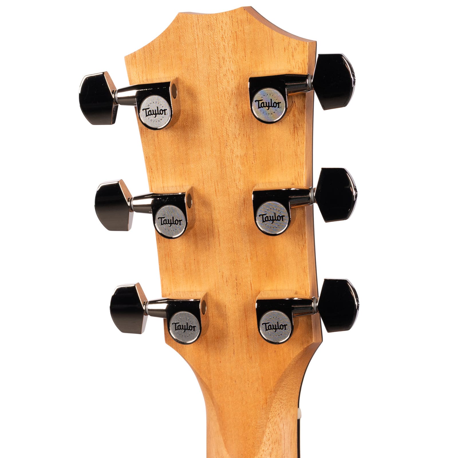 Taylor-212ce-PLUS-2209255528-back-head