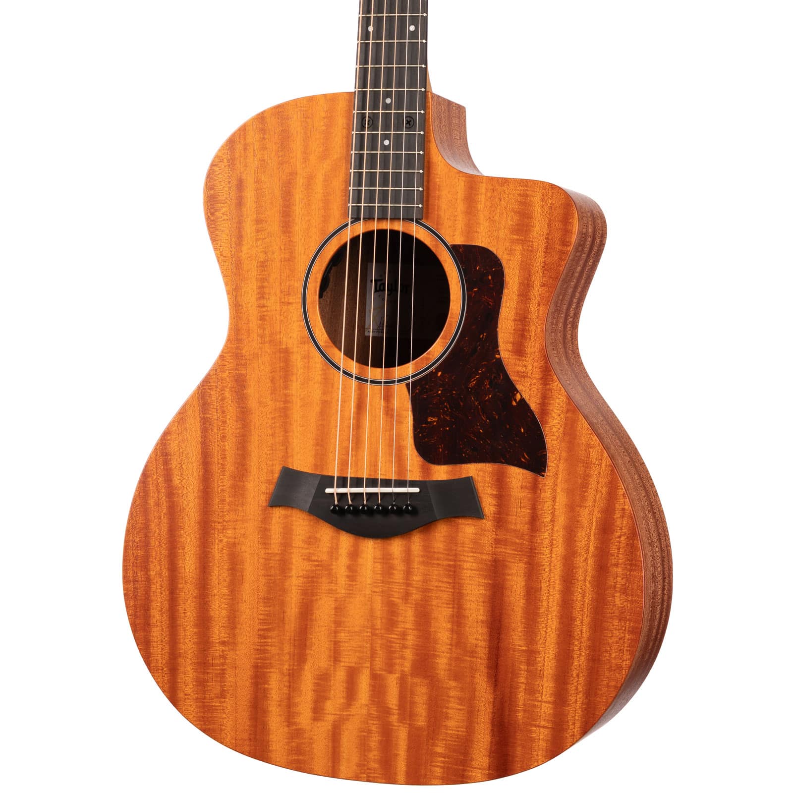 Taylor-24ce-2211075395-angle-rihgt