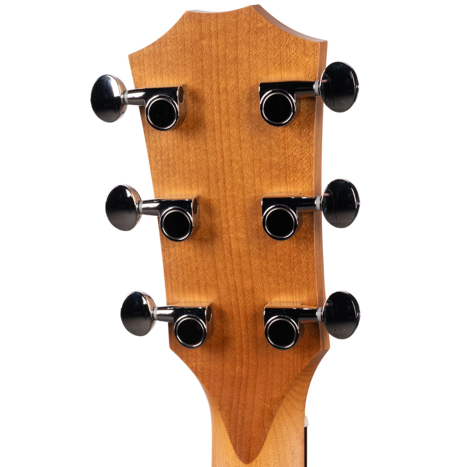 Taylor-24ce-2211075395-back-head