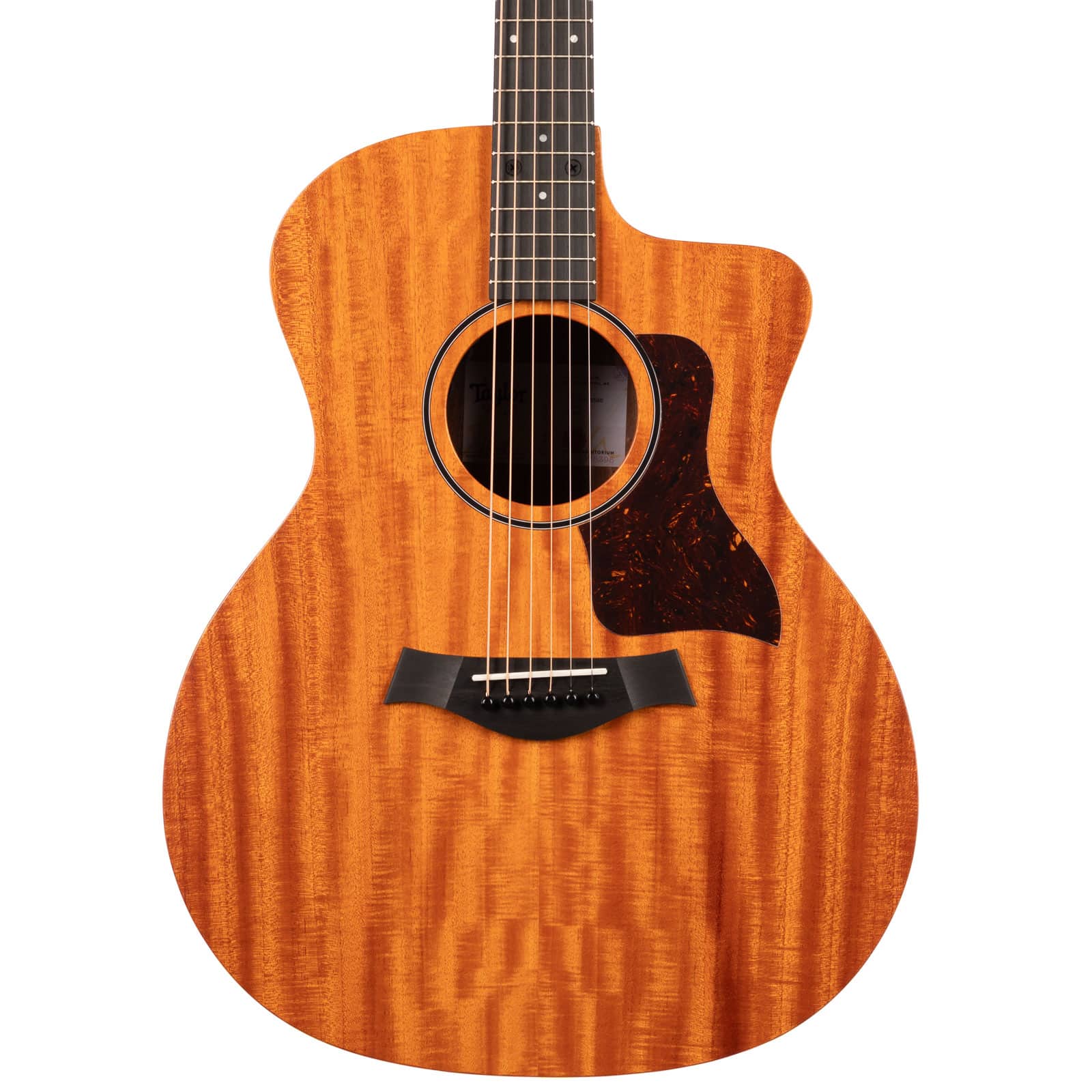 Taylor-24ce-2211075395-frnt-body