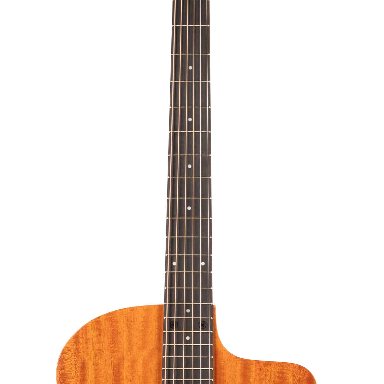 Taylor-24ce-2211075395-neck