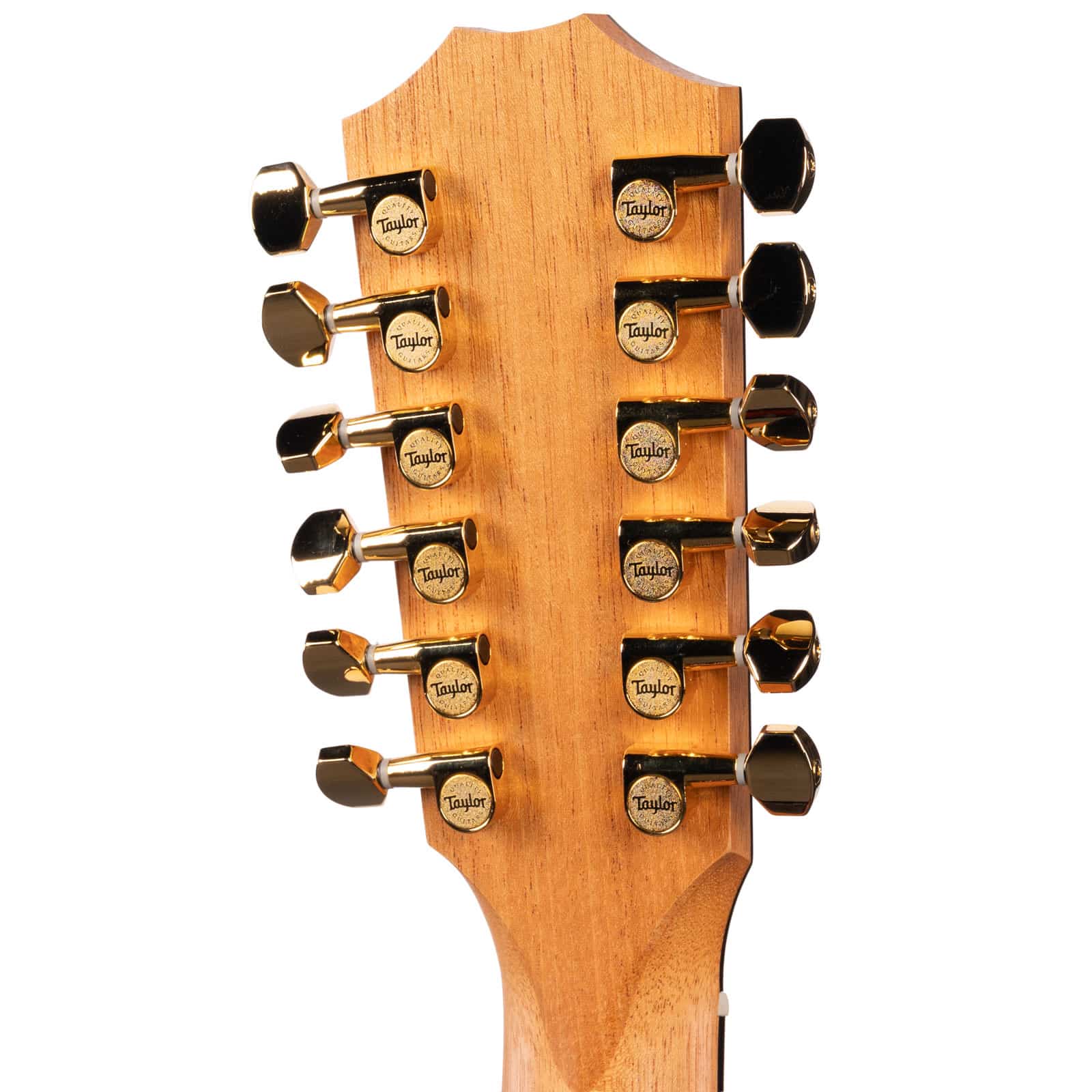 Taylor-264ce-K-DLX-KOA-2211065530-back-head