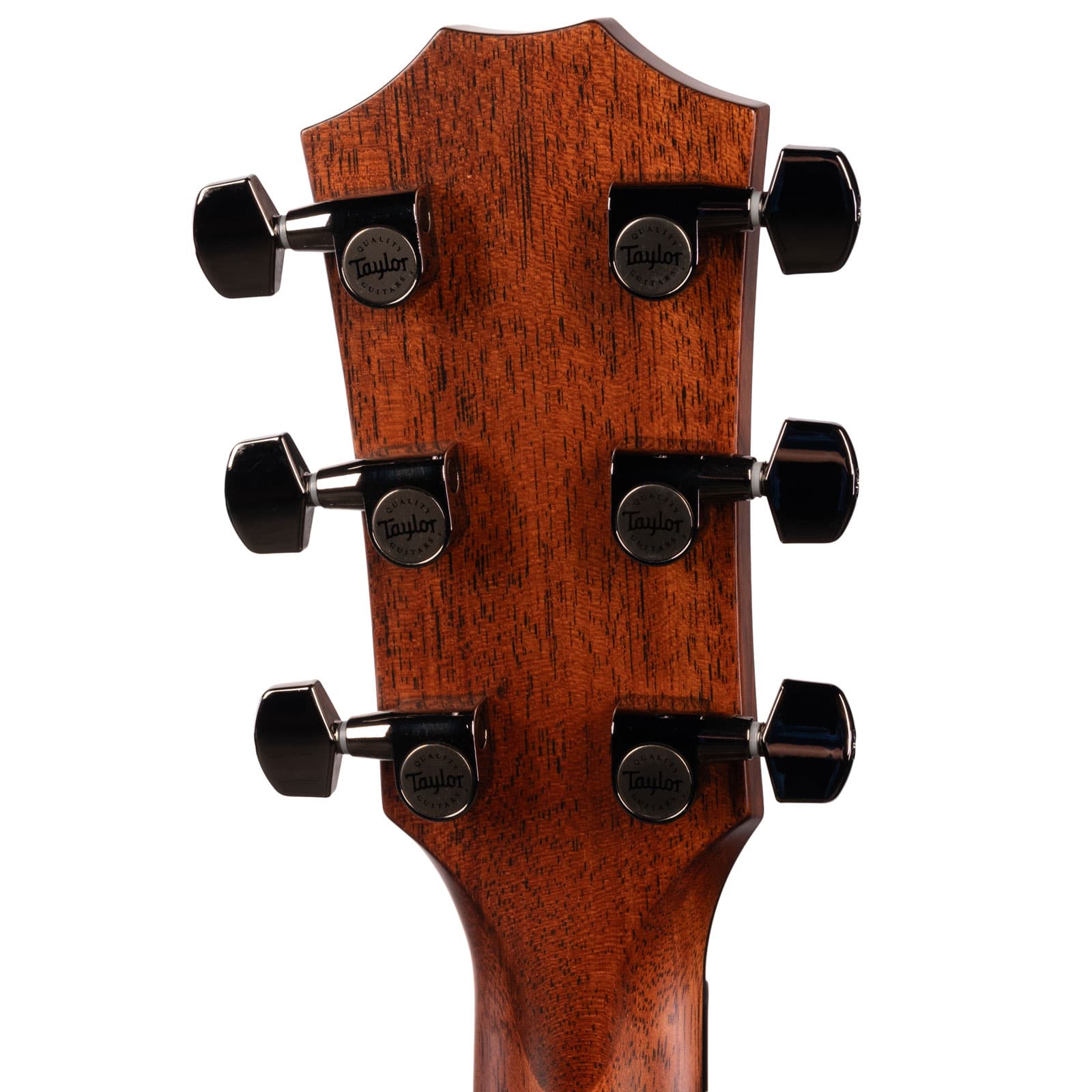 Taylor-814ce-2026-1210305070-back-head