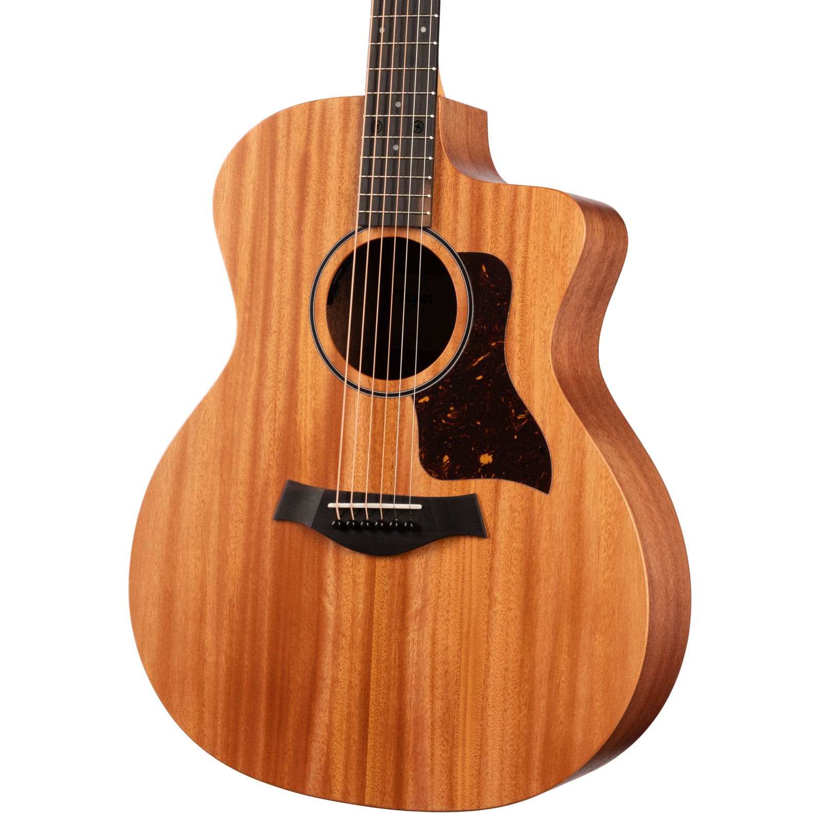 Taylor-24ce-2212015373-anglerihgt