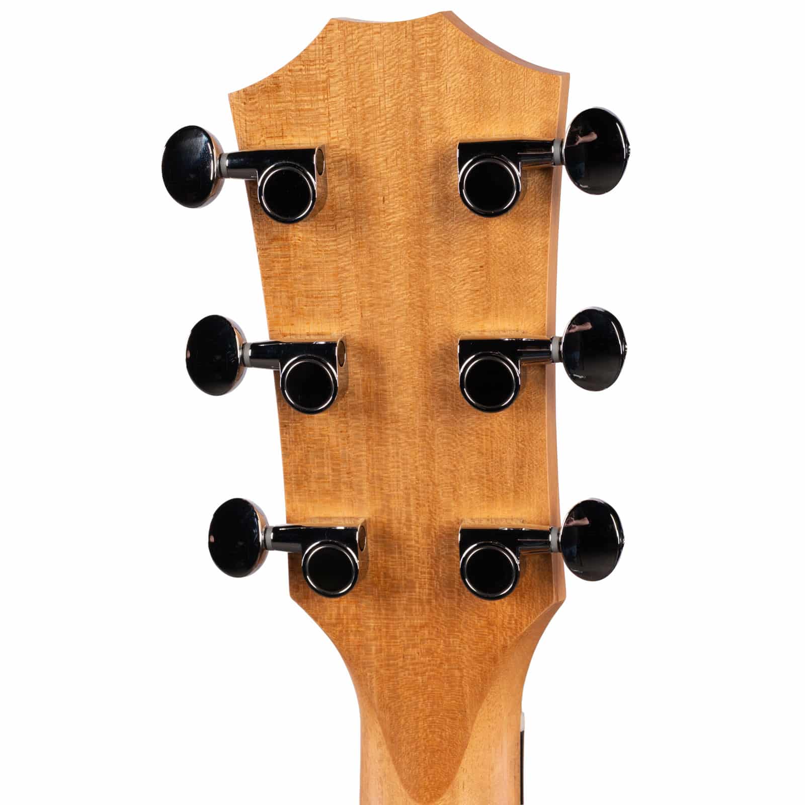 Taylor-24ce-2212015373-back-head