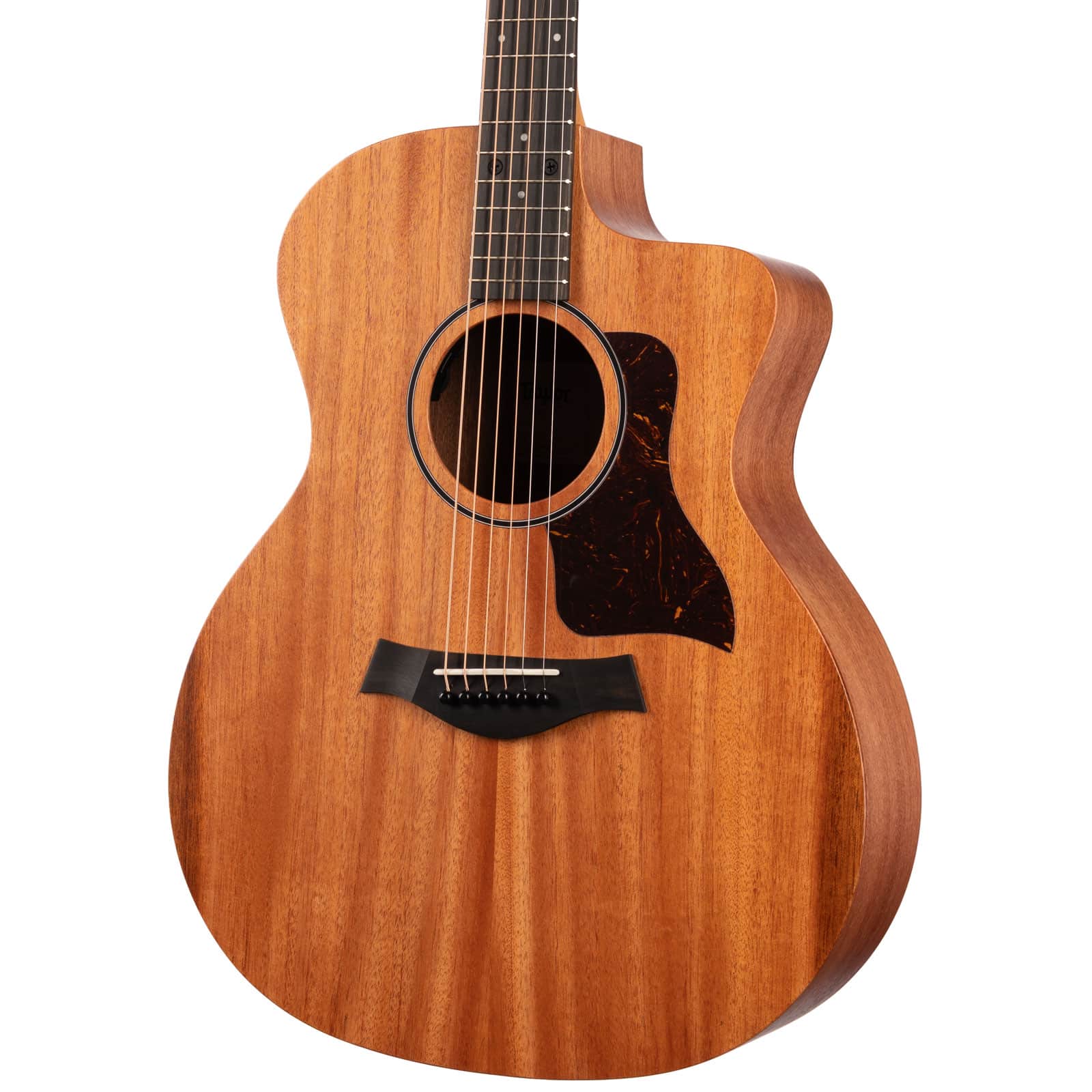 Taylor-24ce-2212015379-angle-rihgt