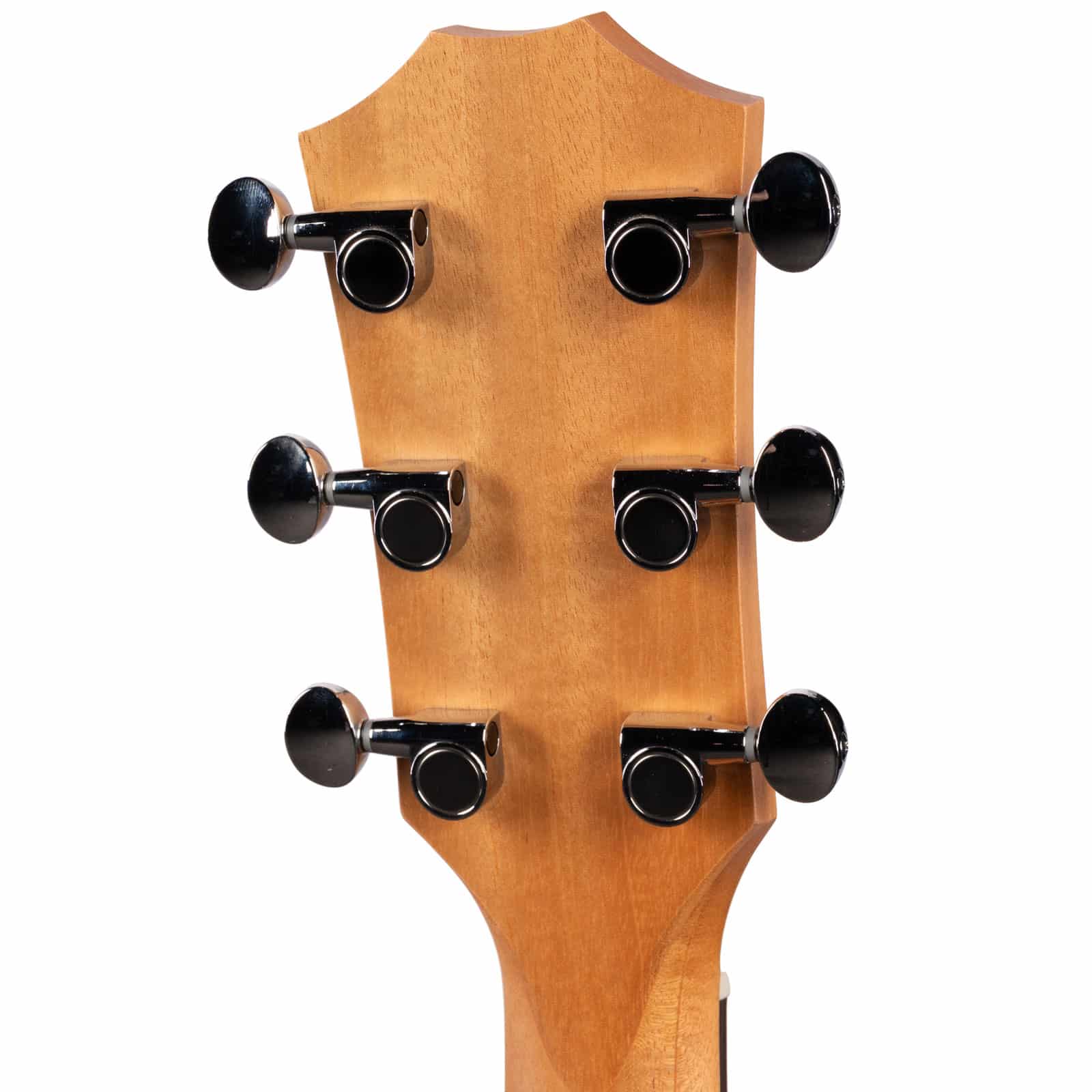 Taylor-24ce-2212015379-back-head