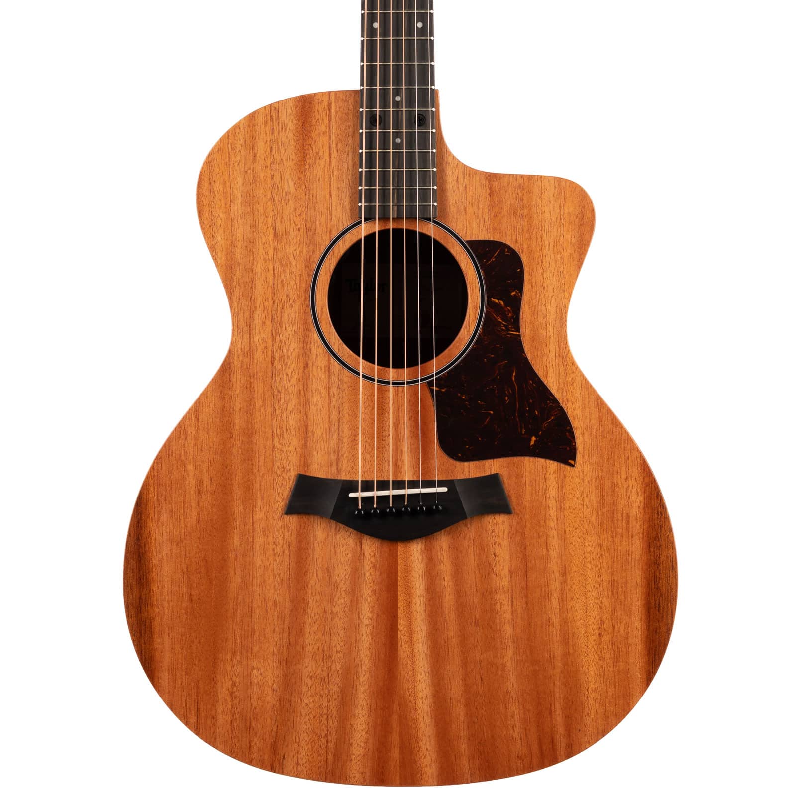 Taylor-24ce-2212015379-front-body