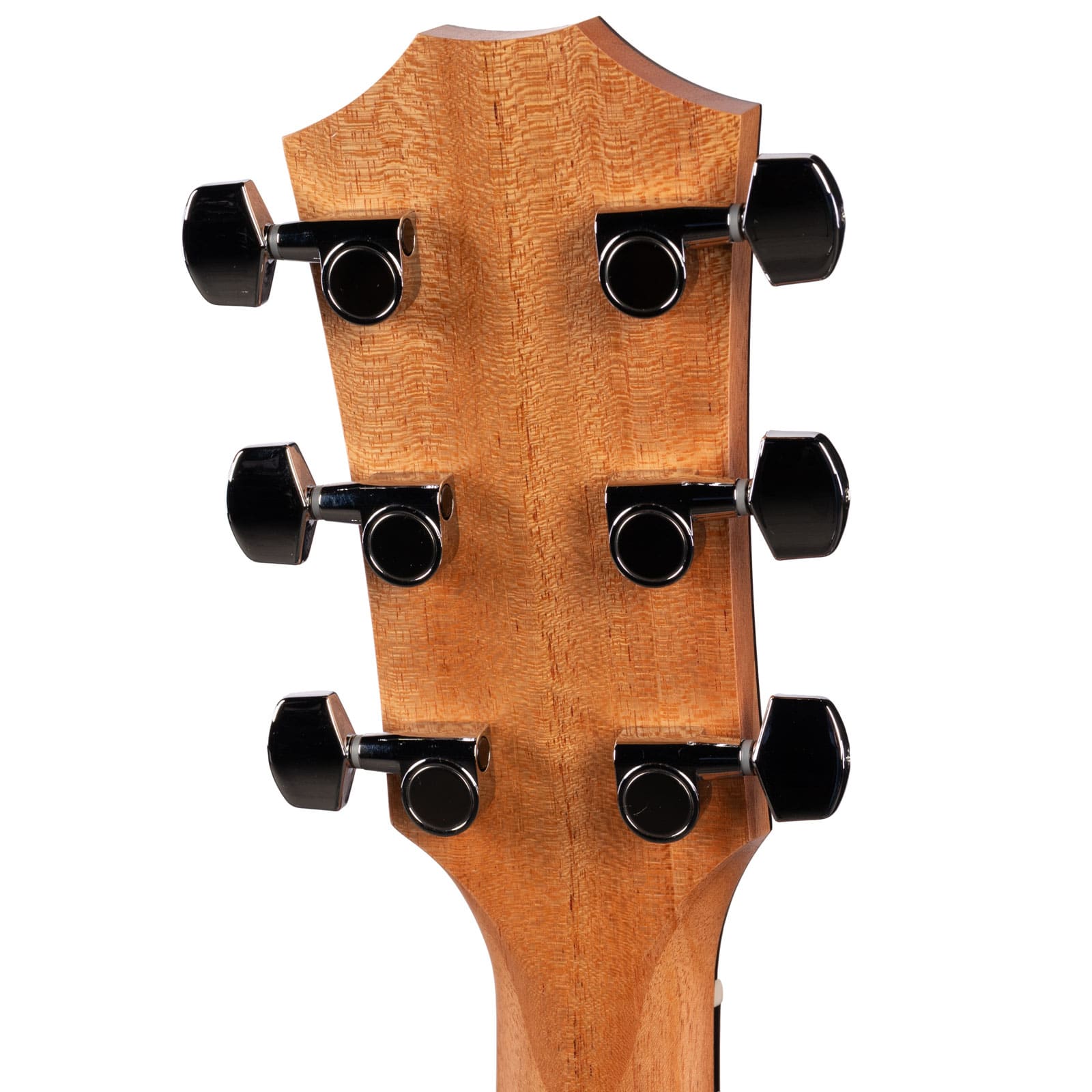 TAYLOR-214CE-K-KOASPRUCE-2202096529-back-head