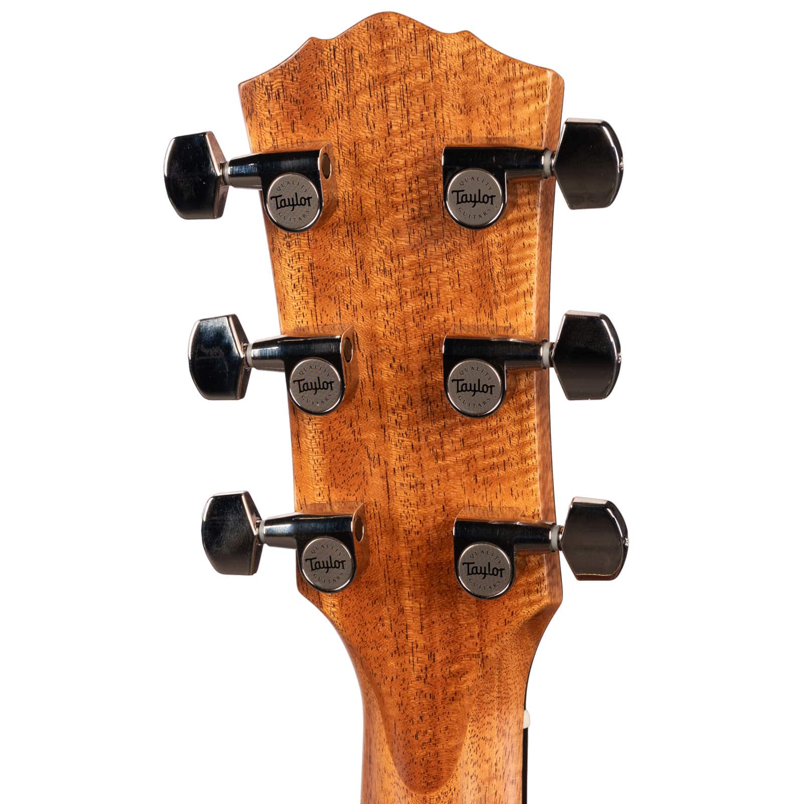 TAYLOR-GOLD-LABEL-514E-SB.-MAHGTOR.SITKA-1208185031-back-head