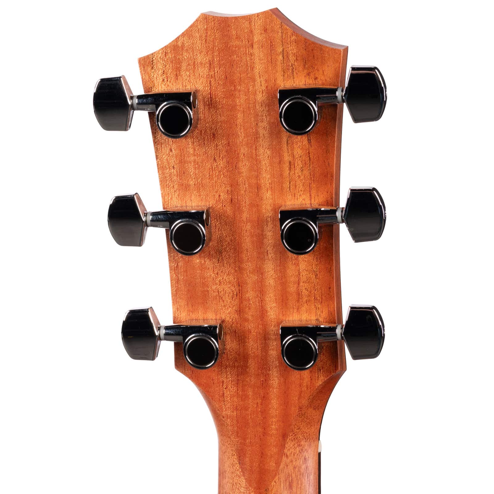 TAYLOR-214CE-SPECIAL-EDITION-HONEYBURST-2203066398-back-head
