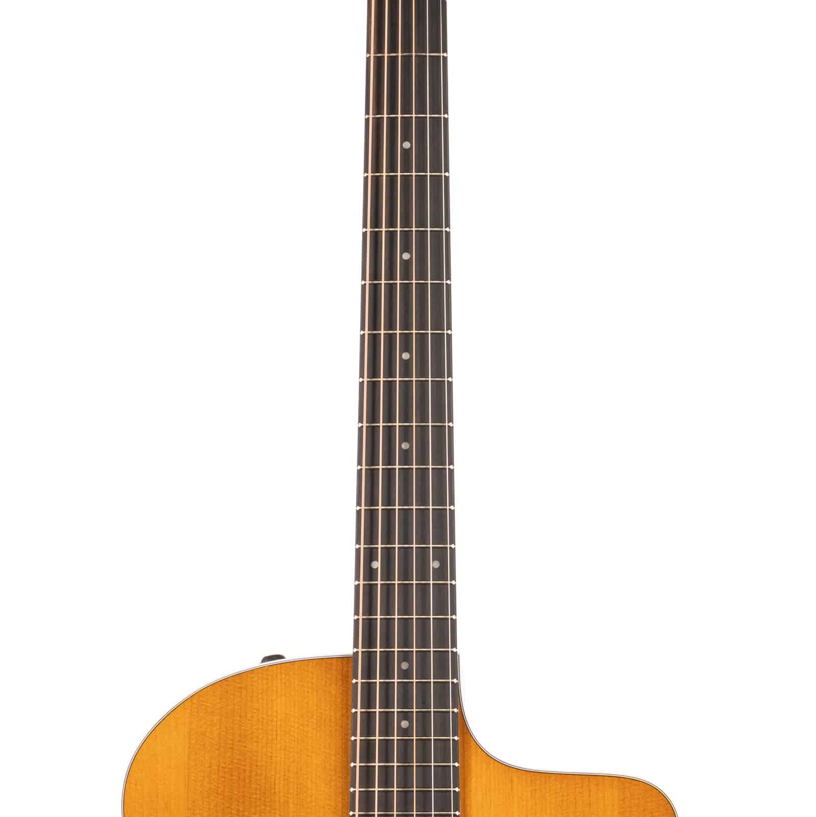 TAYLOR-214CE-SPECIAL-EDITION-HONEYBURST-2203066398-neck
