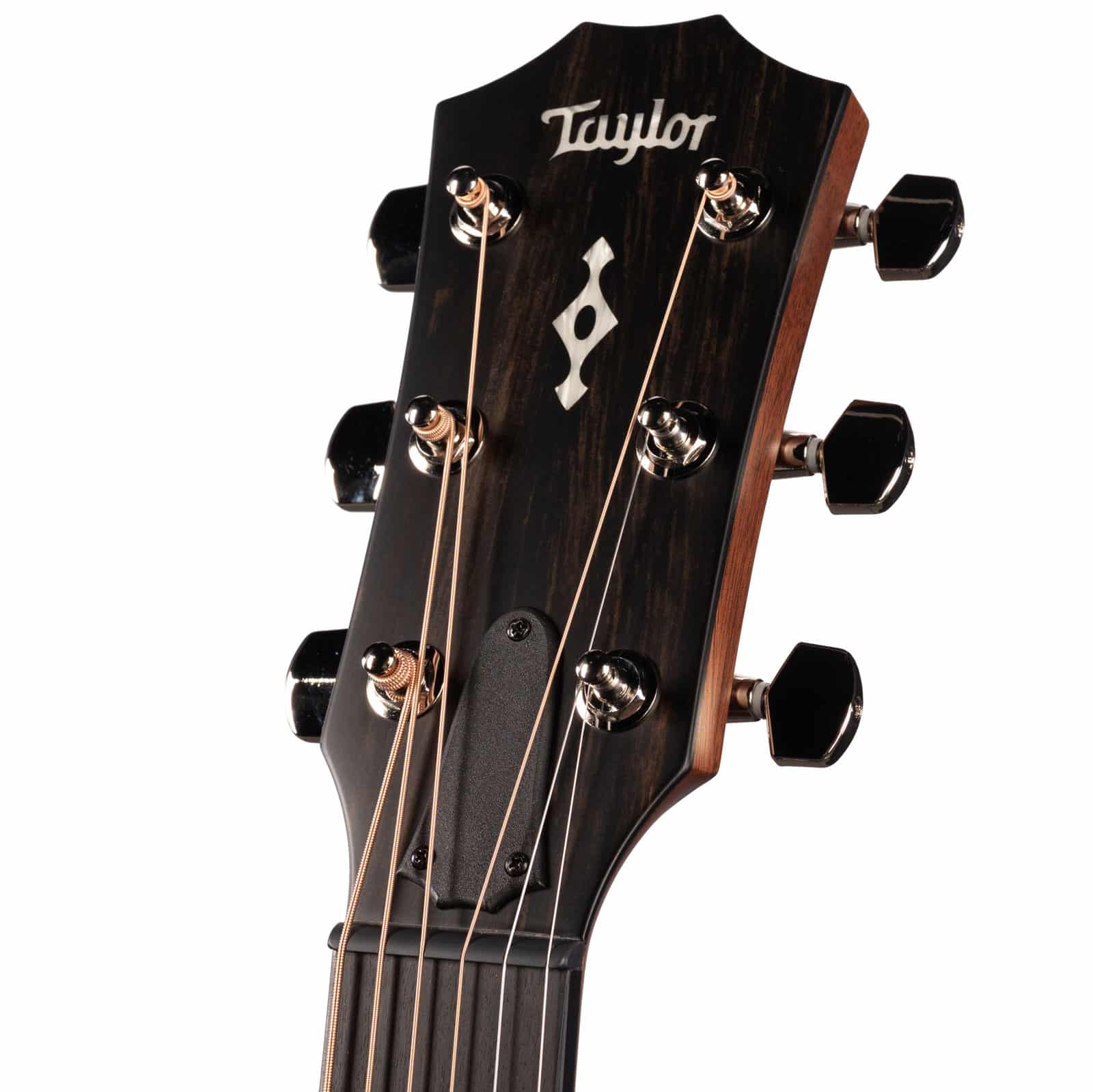 TAYLOR-414CE-IND-ROSEWOODSITKA-2026-1202096022-fron-thead