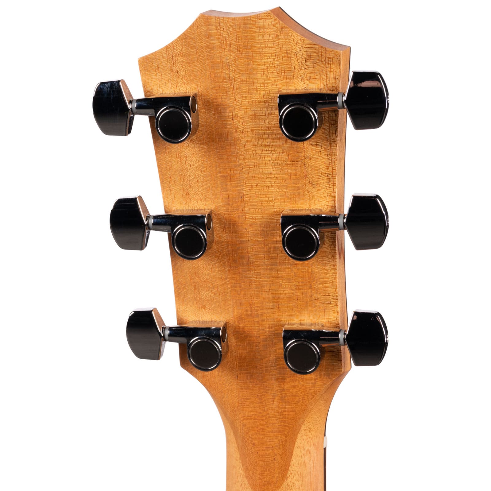 TAYLOR-117E-SPECIAL-EDITION-2206226489-back-head
