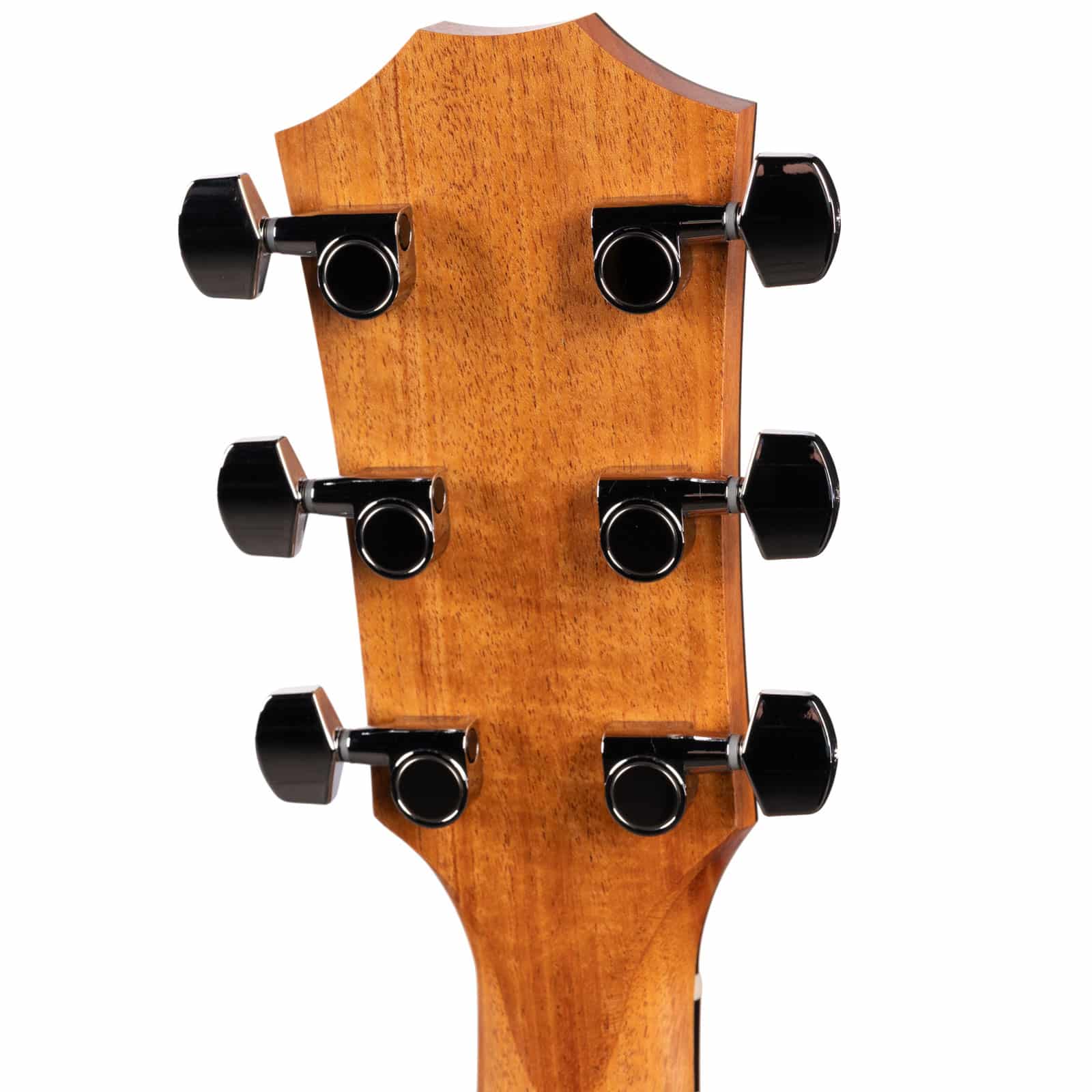 TAYLOR-214CE-WALNUTSPRUCE-USED-2206126267-back-head