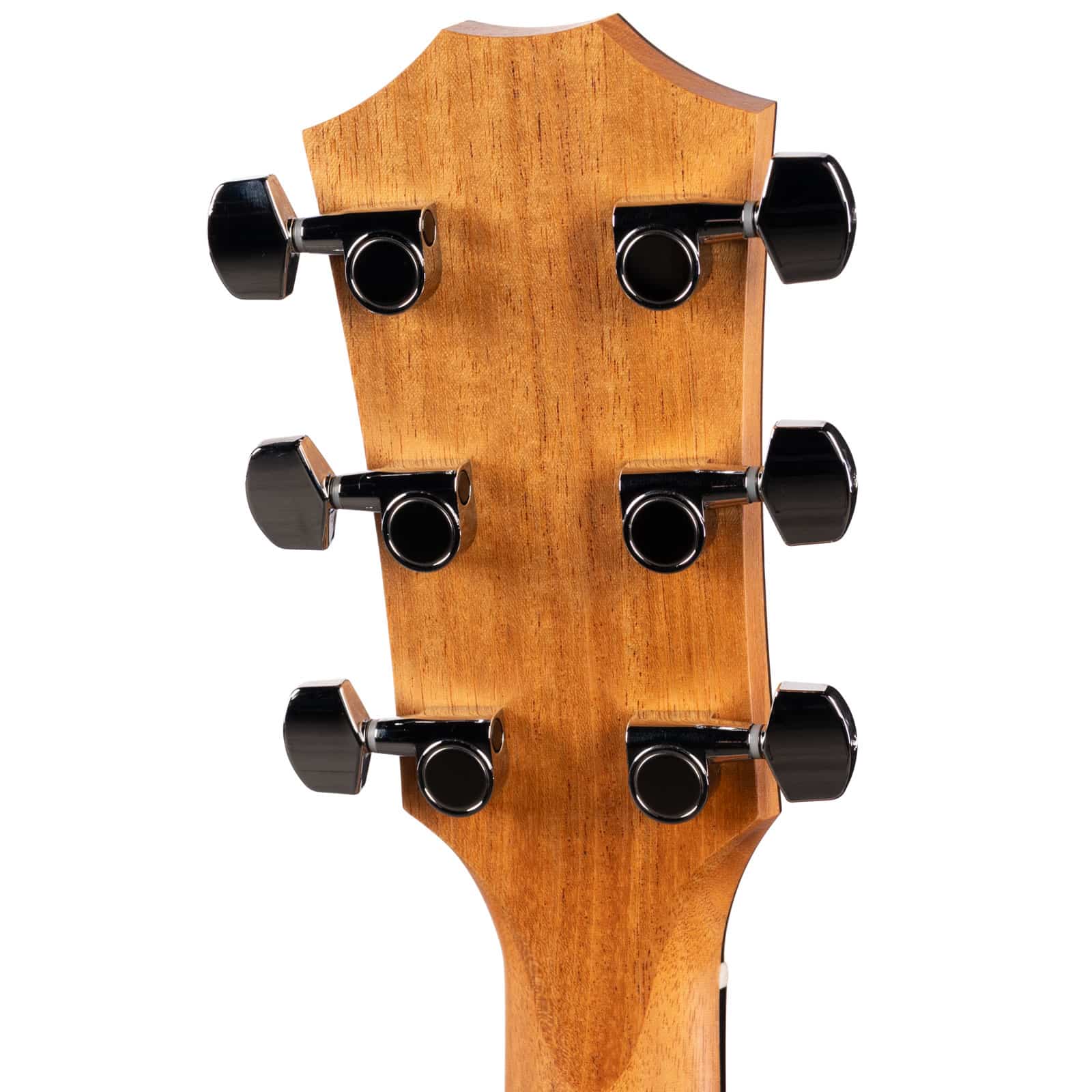 TAYLOR-214CE-WALNUTSPRUCE-USED-2206156213-backhead