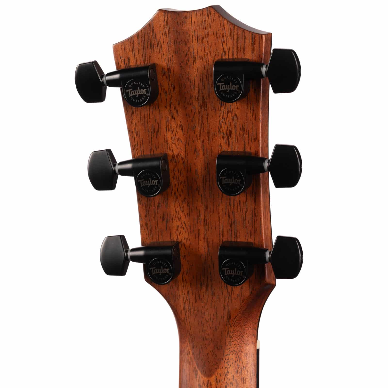 TAYLOR-324CE-6-STRG-BARITONE-WOHSC---1208265038---U-back-head