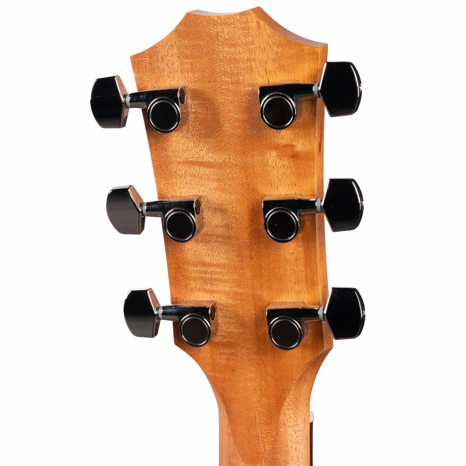 TAYLOR-ACADEMY-10E-WALNUTSPRUCE-USED-2206056016-bakc-head