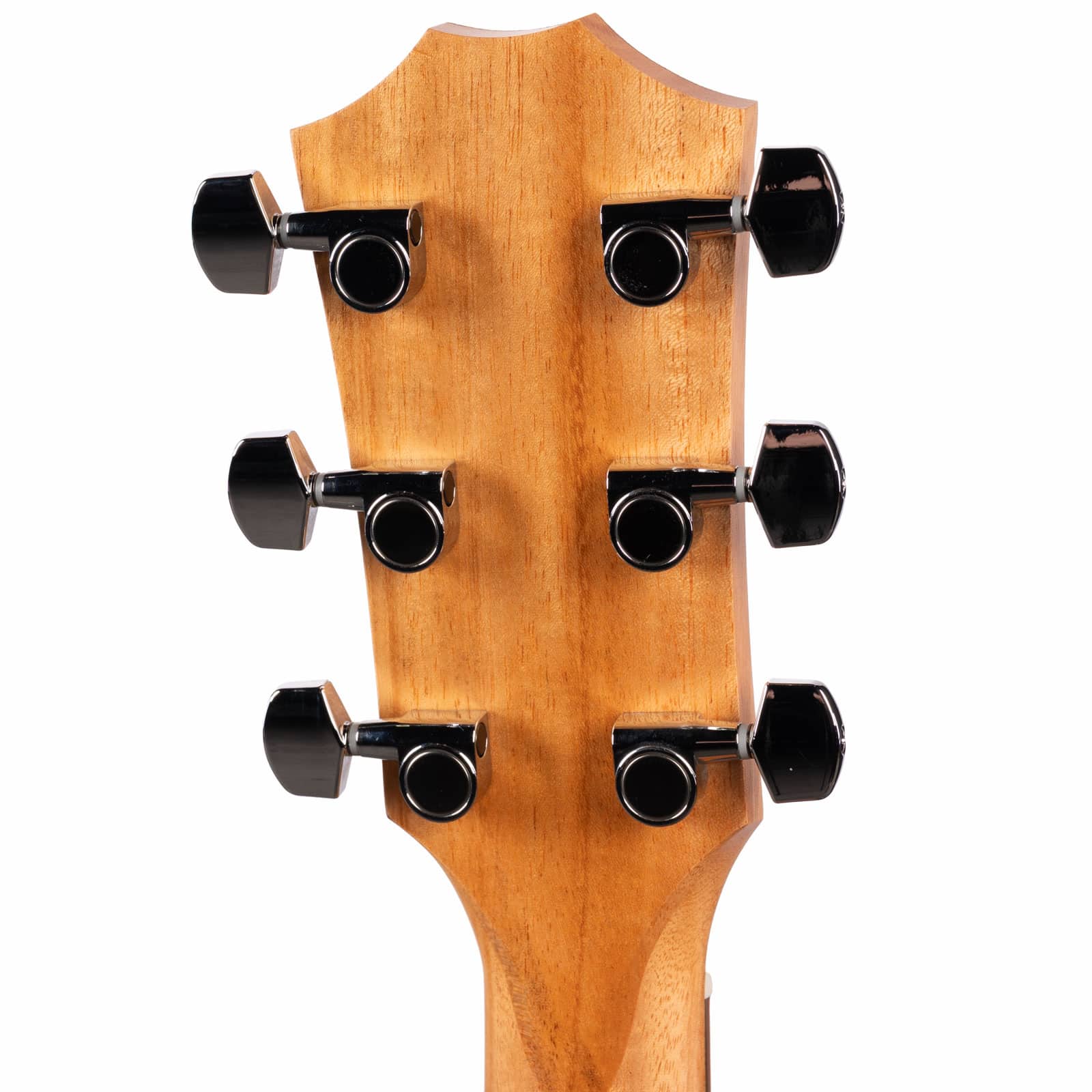 TAYLOR-ACADEMY-12E-WALNUTSPRUCE-USED-2205276020-back-head