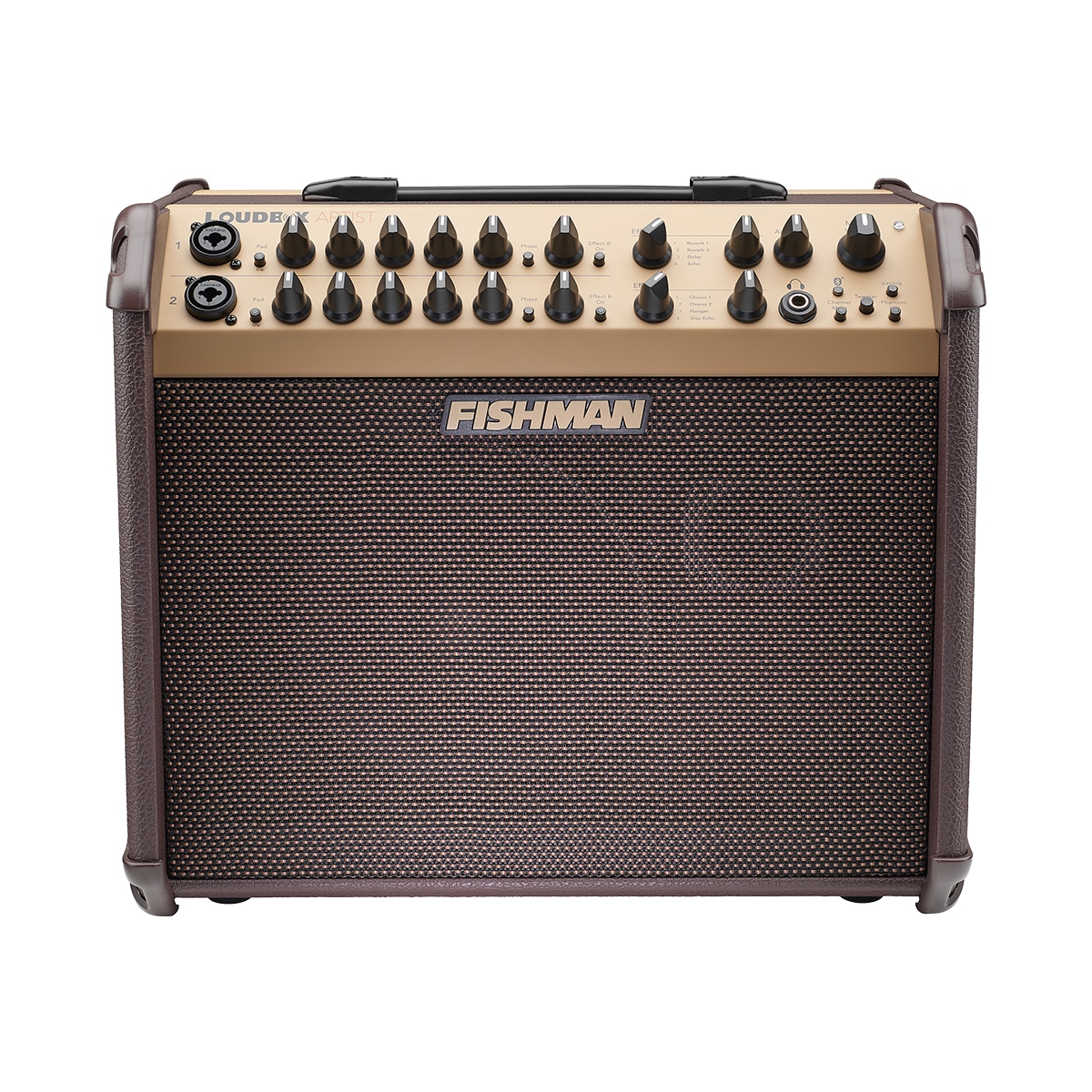 fishman-loudbox-artist-gal-1