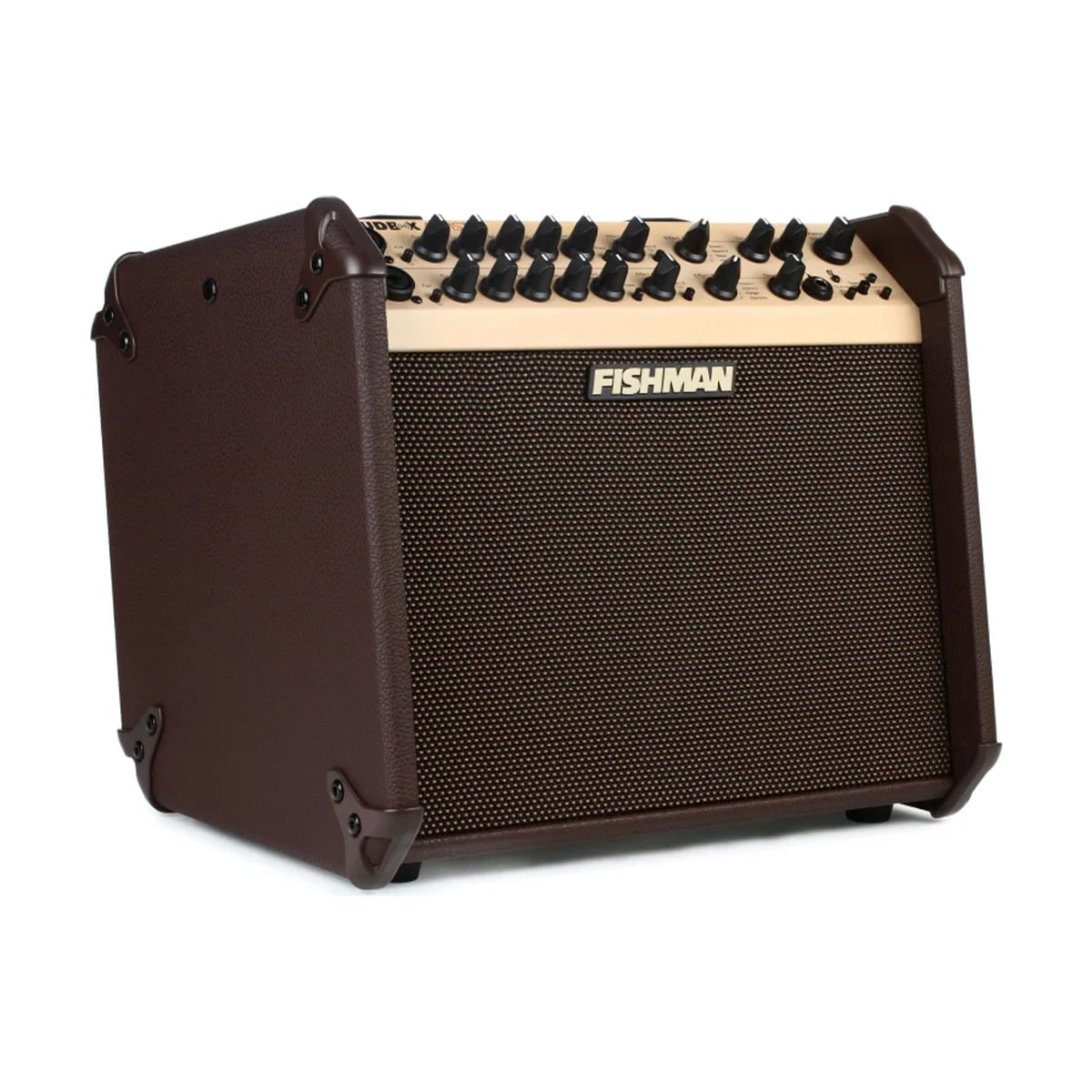 fishman-loudbox-artist-gal-2
