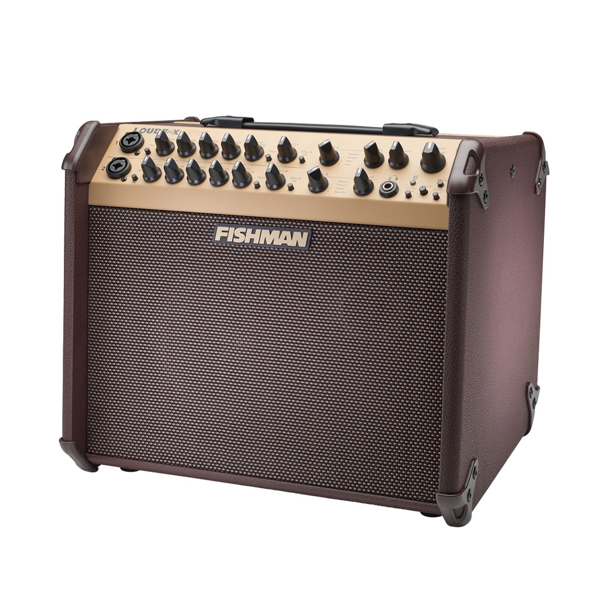 fishman-loudbox-artist-gal-3