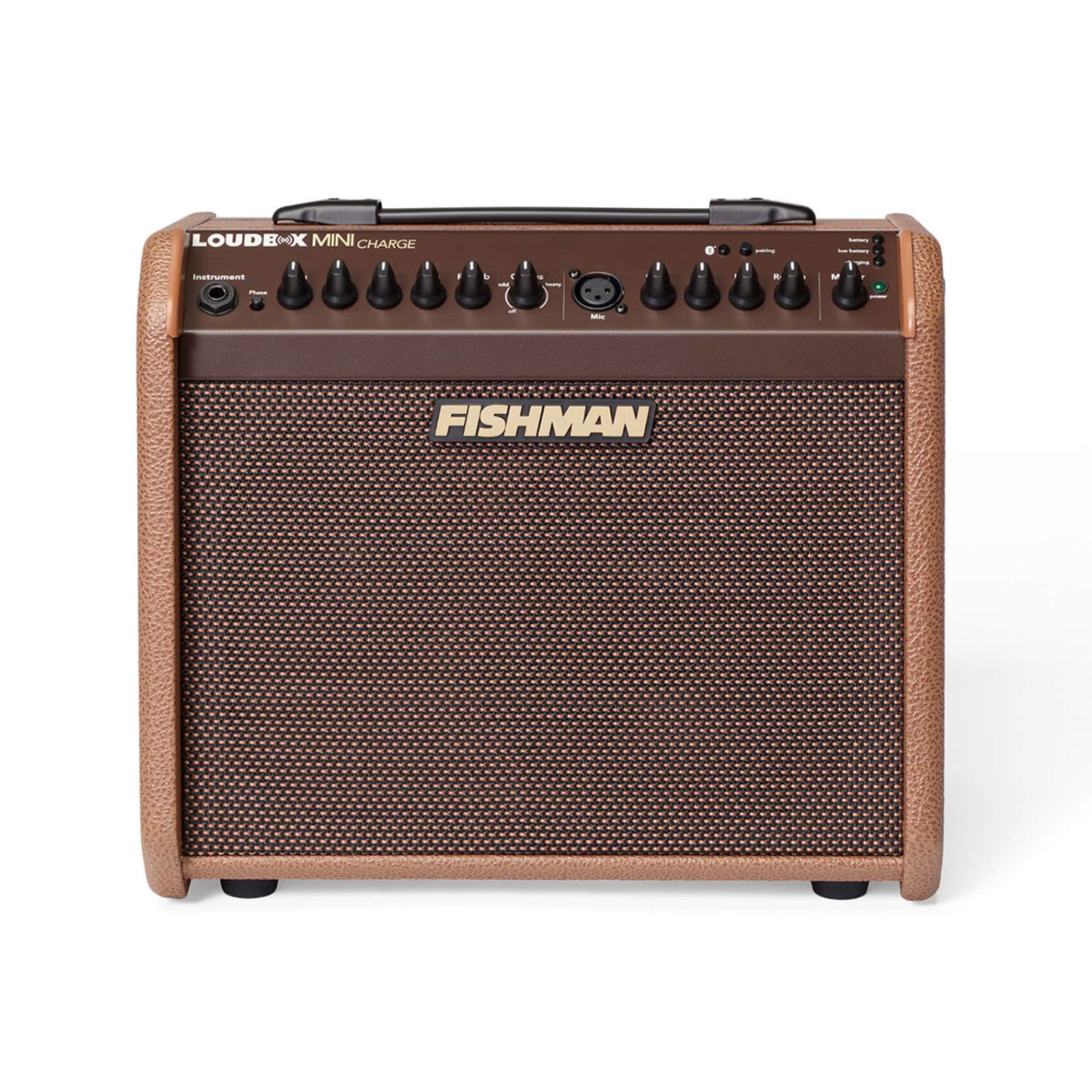 fishman-loudbox-mini-charge-gal-4