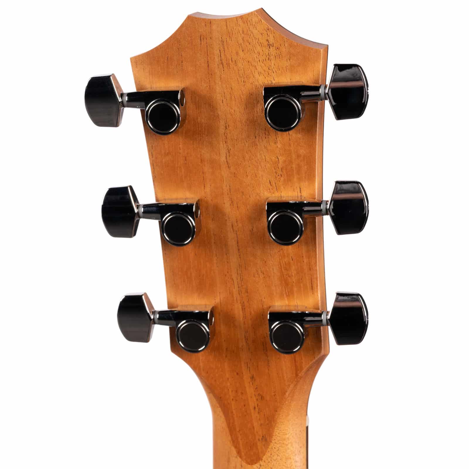 TAYLOR-117E-SPECIAL-EDITION-2207306330-back-head