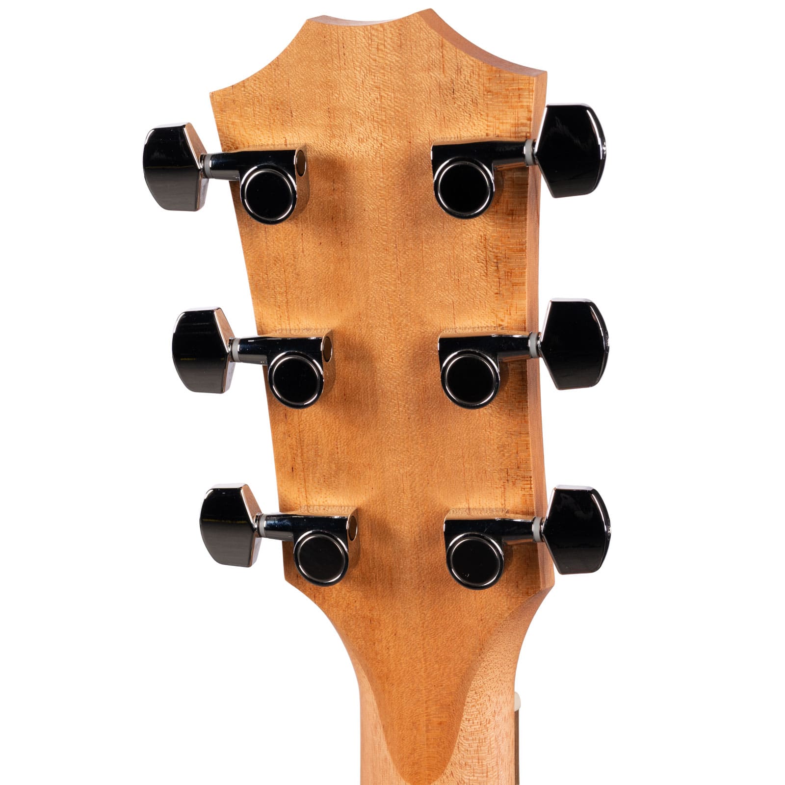 TAYLOR-ACADEMY-10E-WALNUTSPRUCE-USED-2206126034-back-head